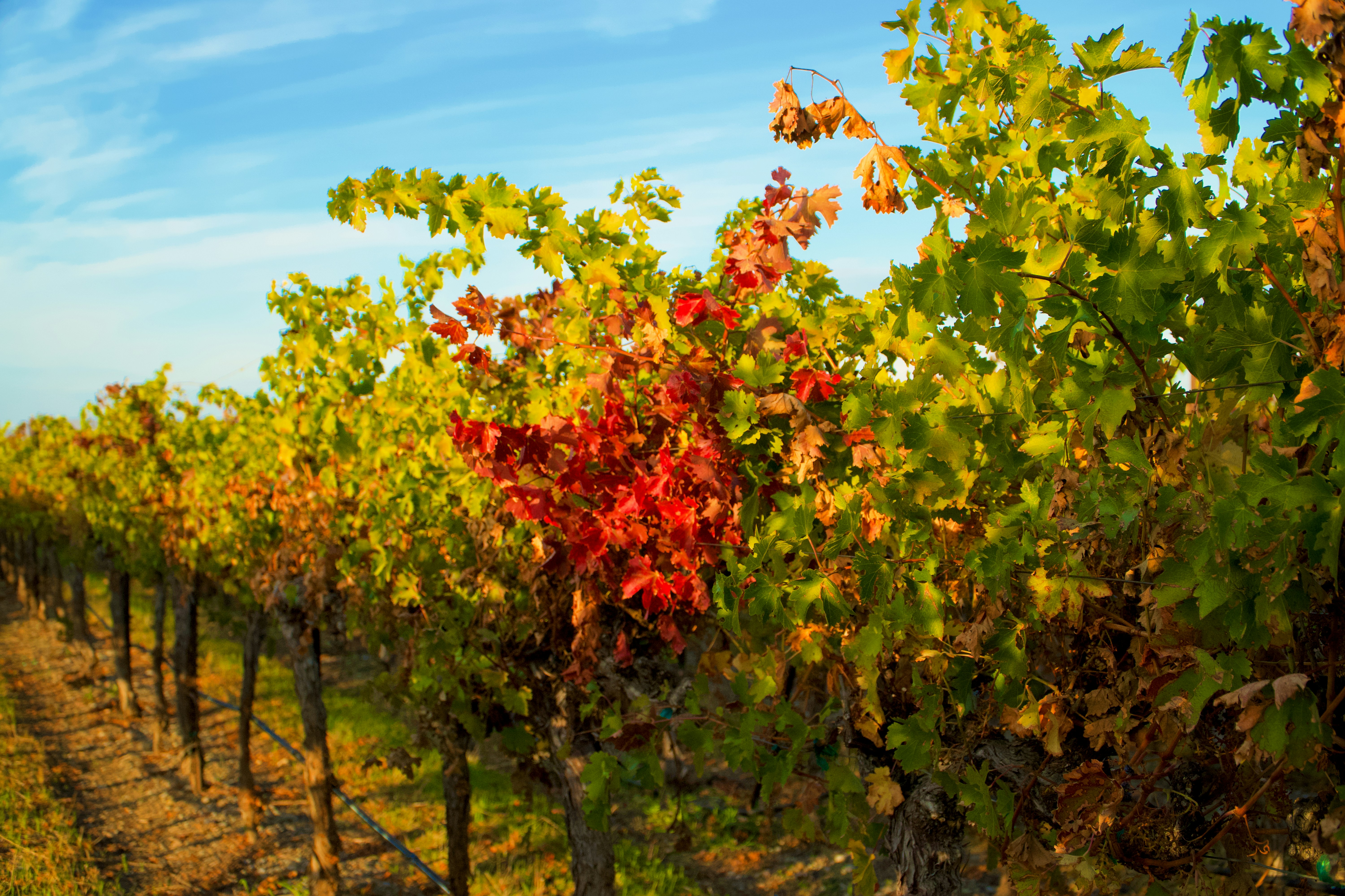 Photo by spencer_demera