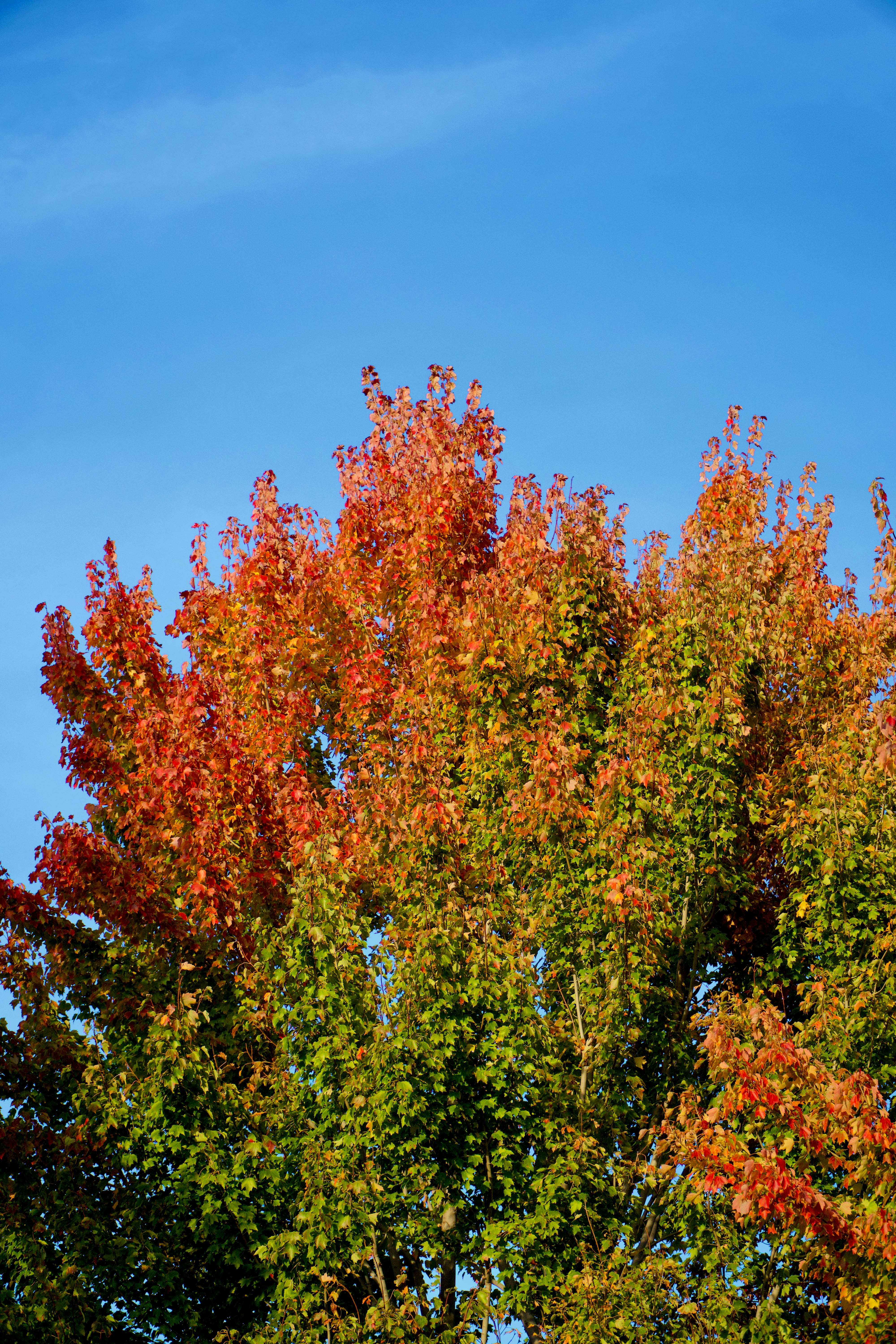 Photo by spencer_demera