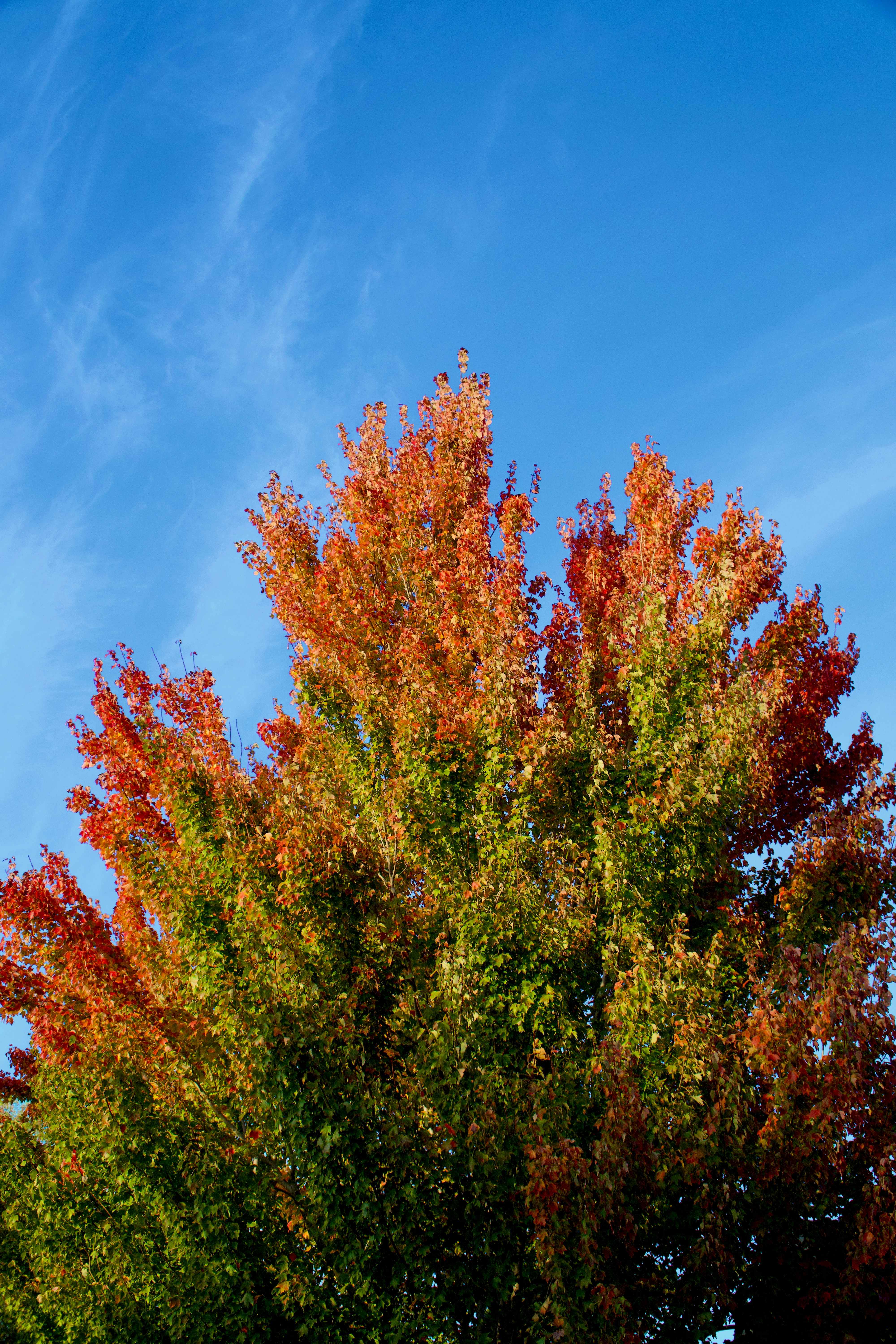 Photo by spencer_demera