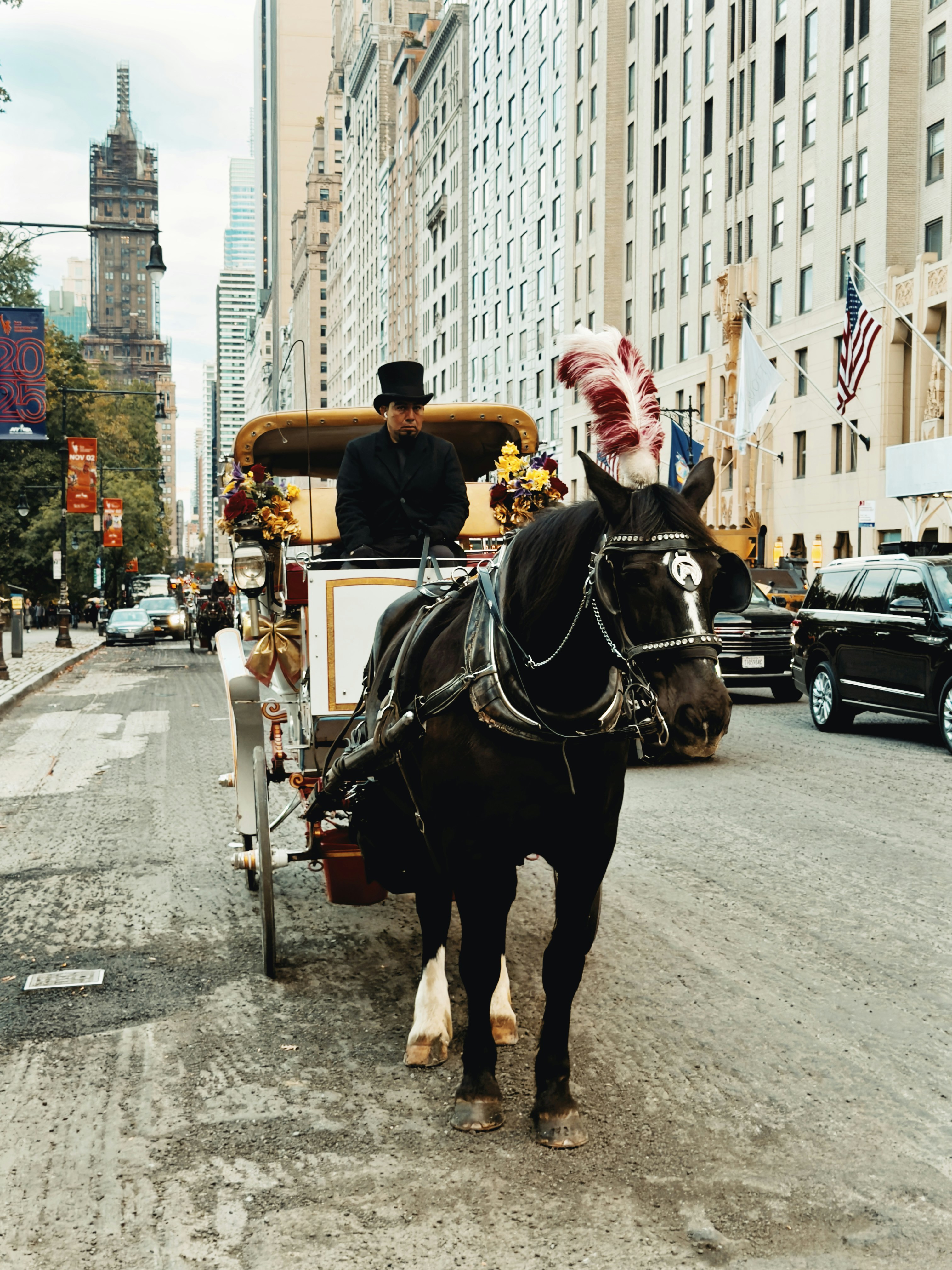 Horse-drawn carriage on a new york city street.