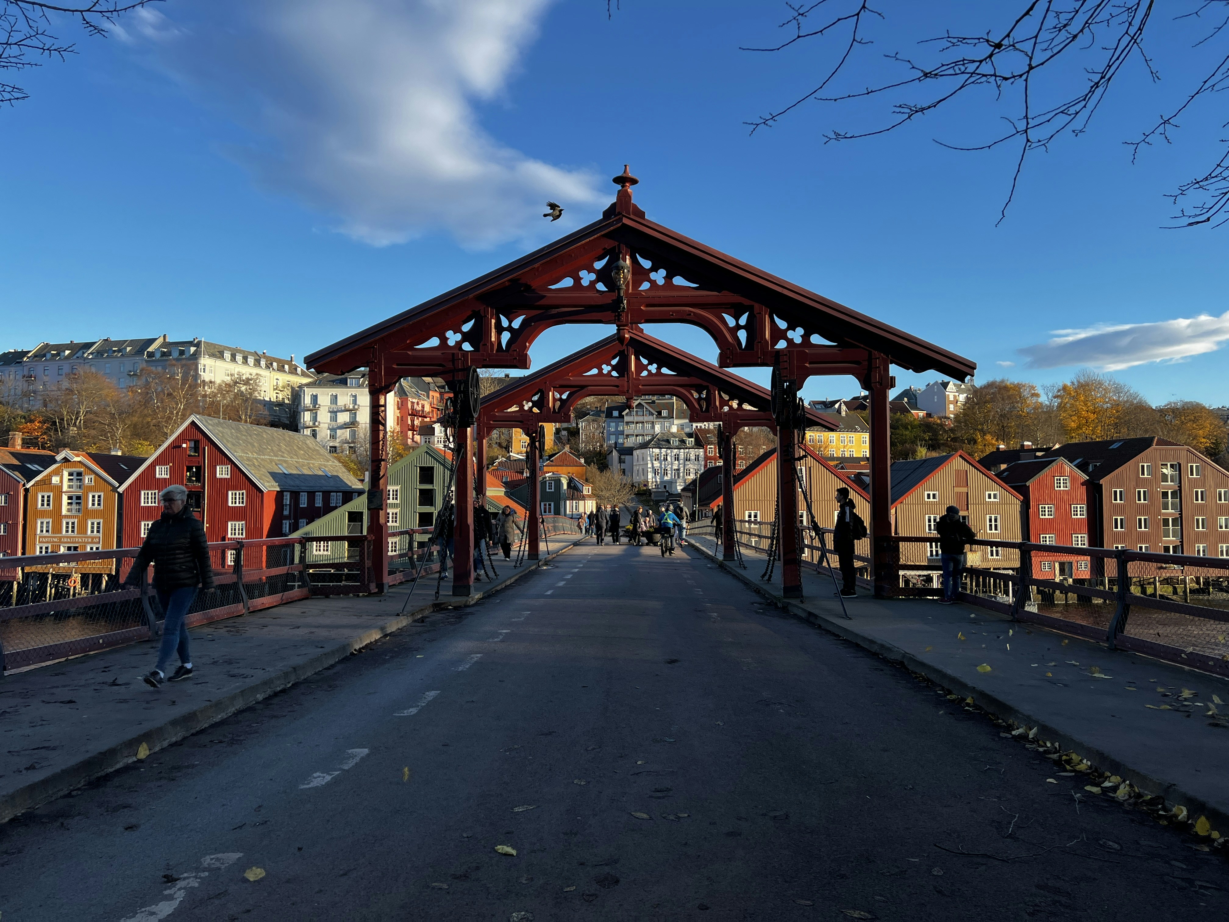 Image by Daniela Sada via Unsplash