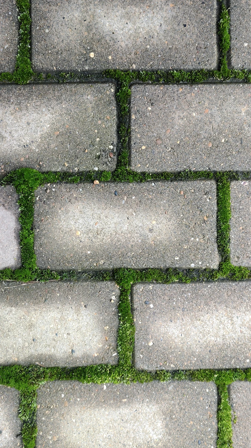 New interlocking stone walkway installation in Etobicoke