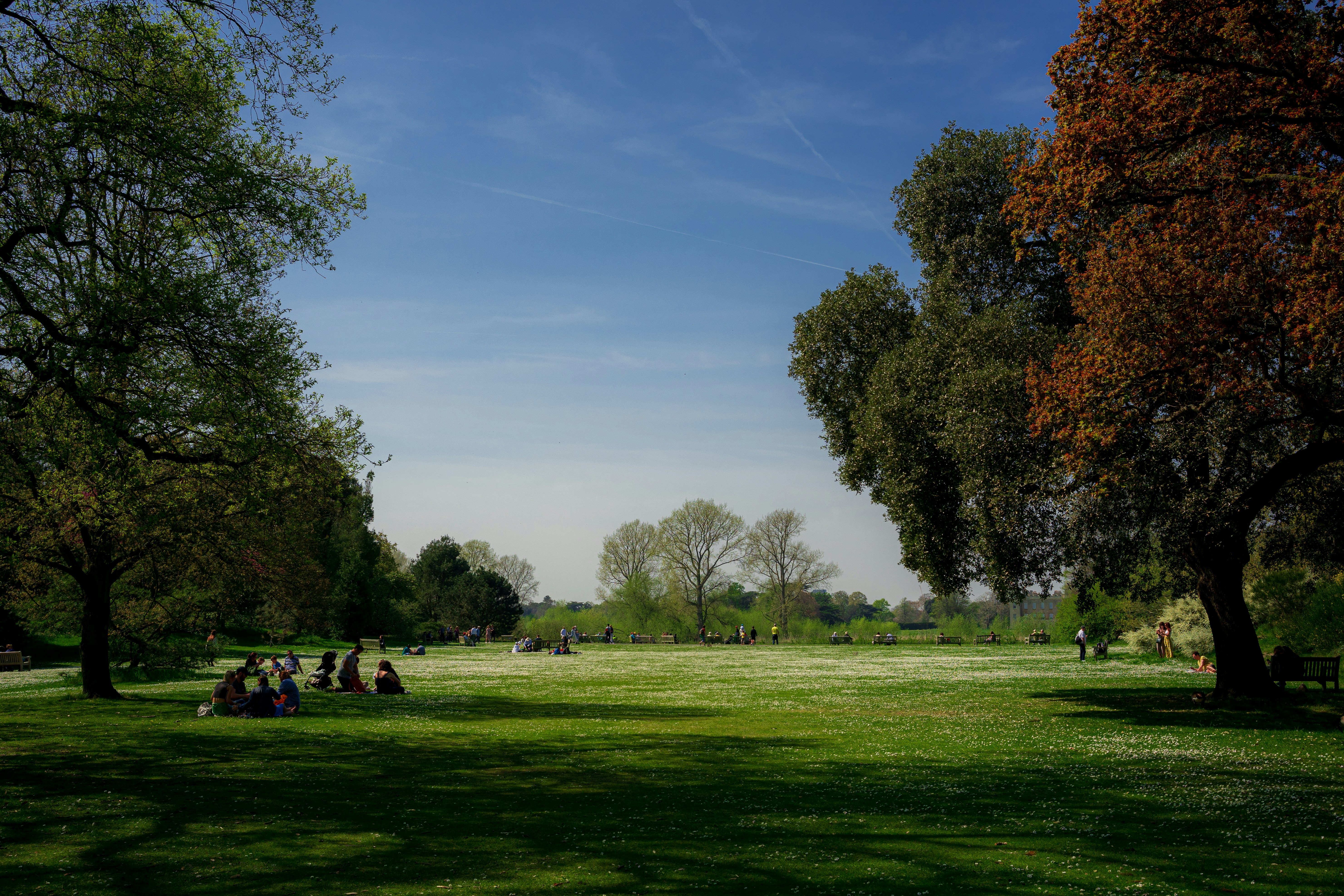 People relaxing on a sunny day in a green park.