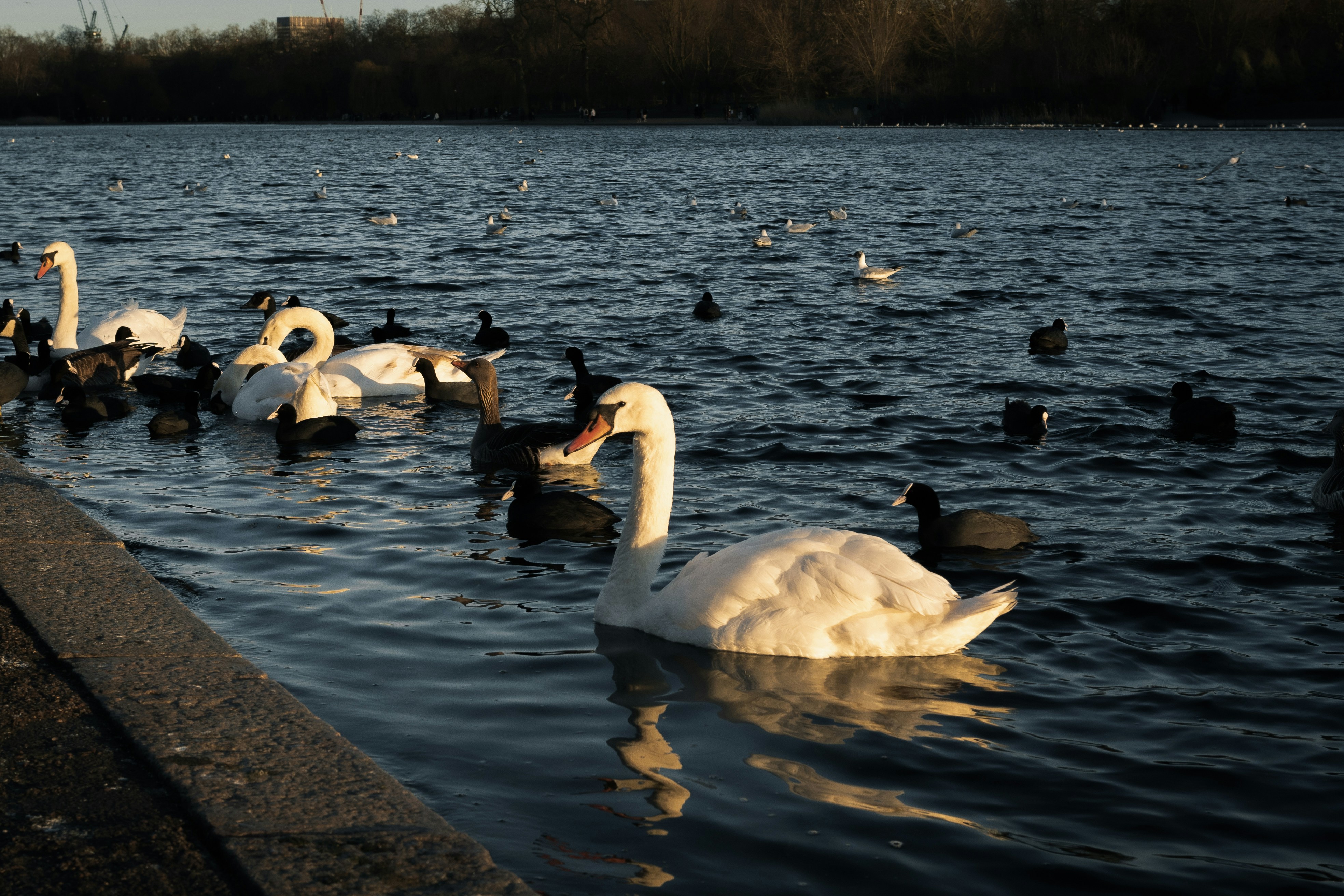 Photo by framethestreets