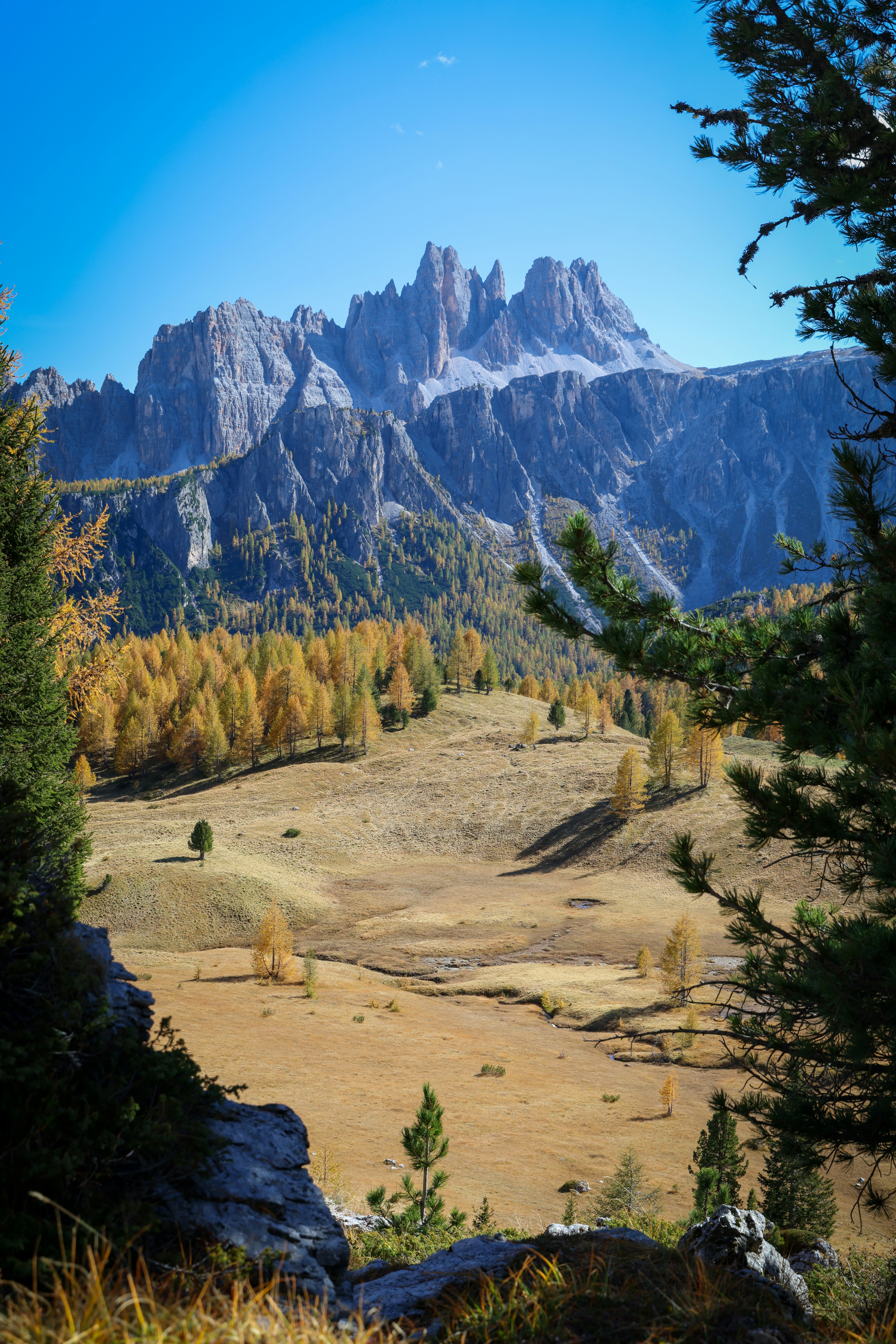 Autumn mountain valley with yellow trees and rocky peaks.
