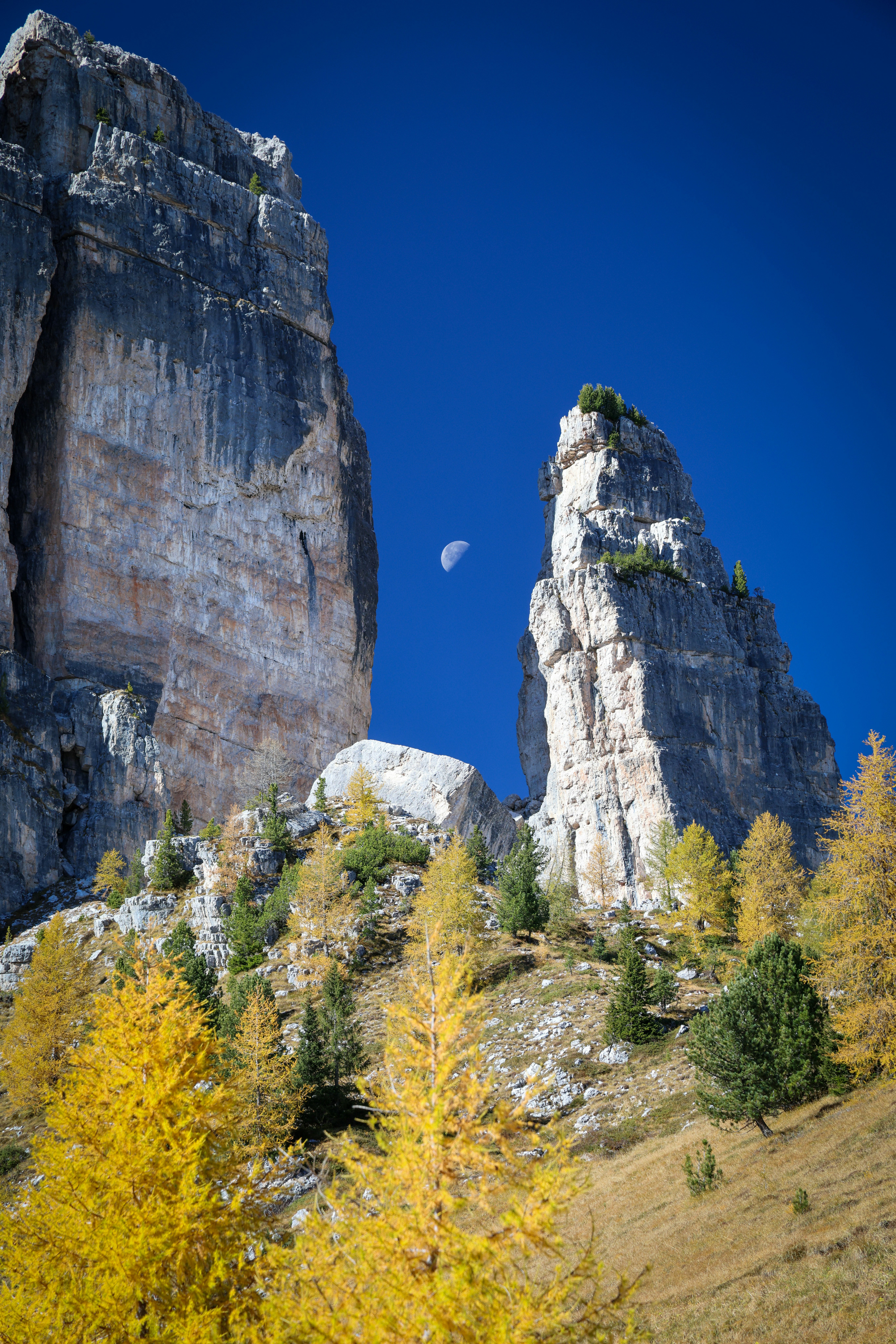 Tall rocky mountains with autumn trees and moon.