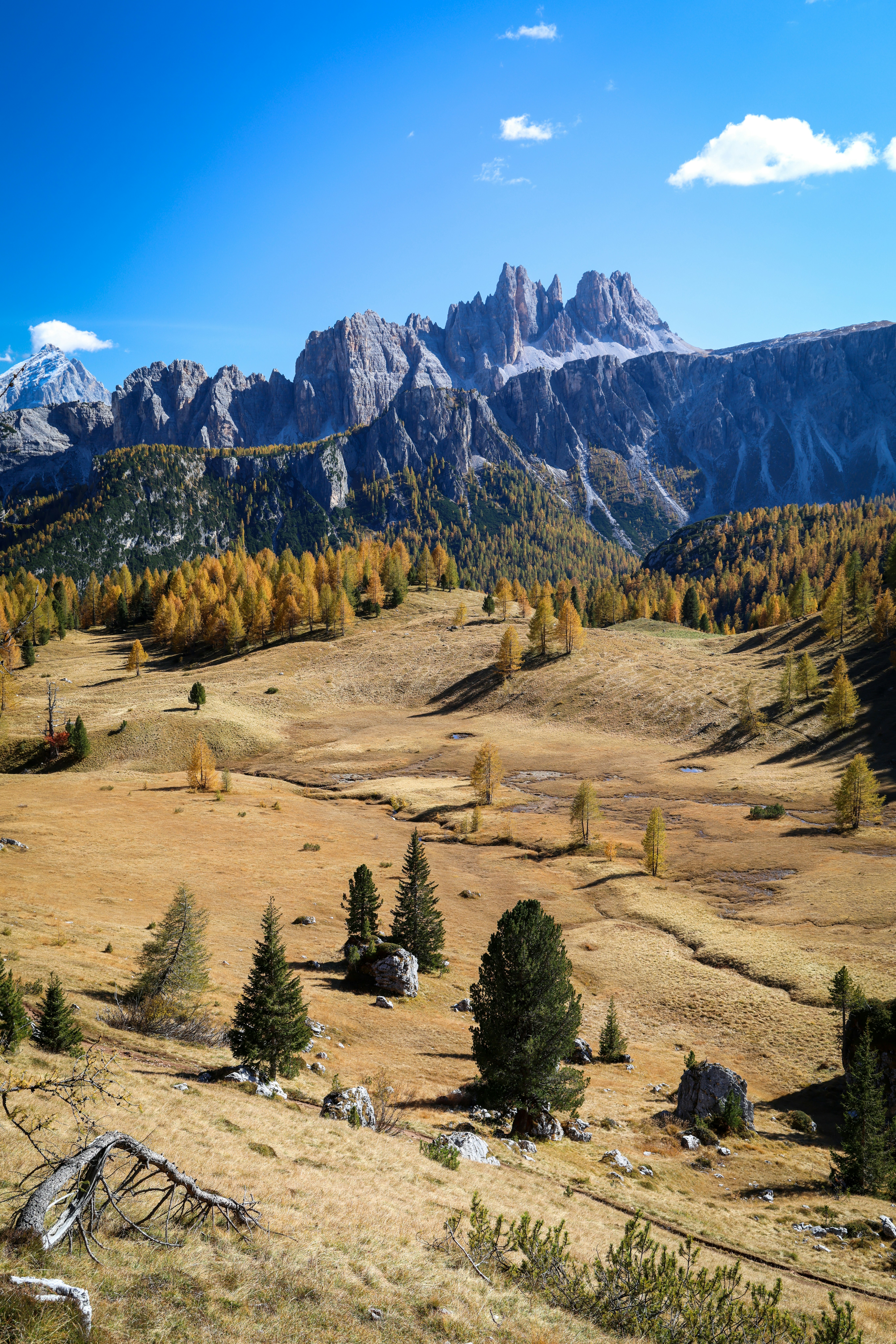 Golden autumn trees in a mountain valley under blue sky
