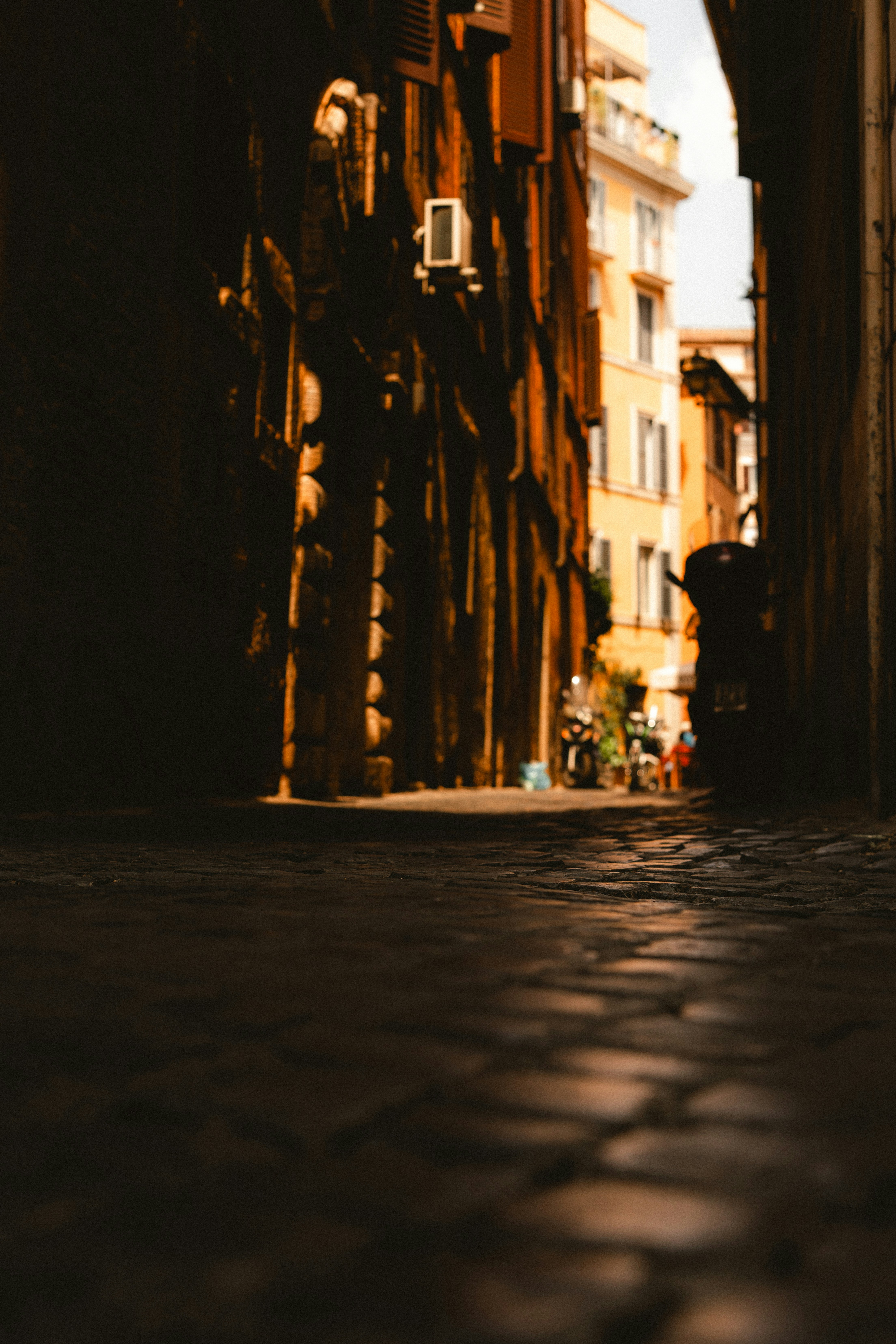 Photo by kennethliphotography