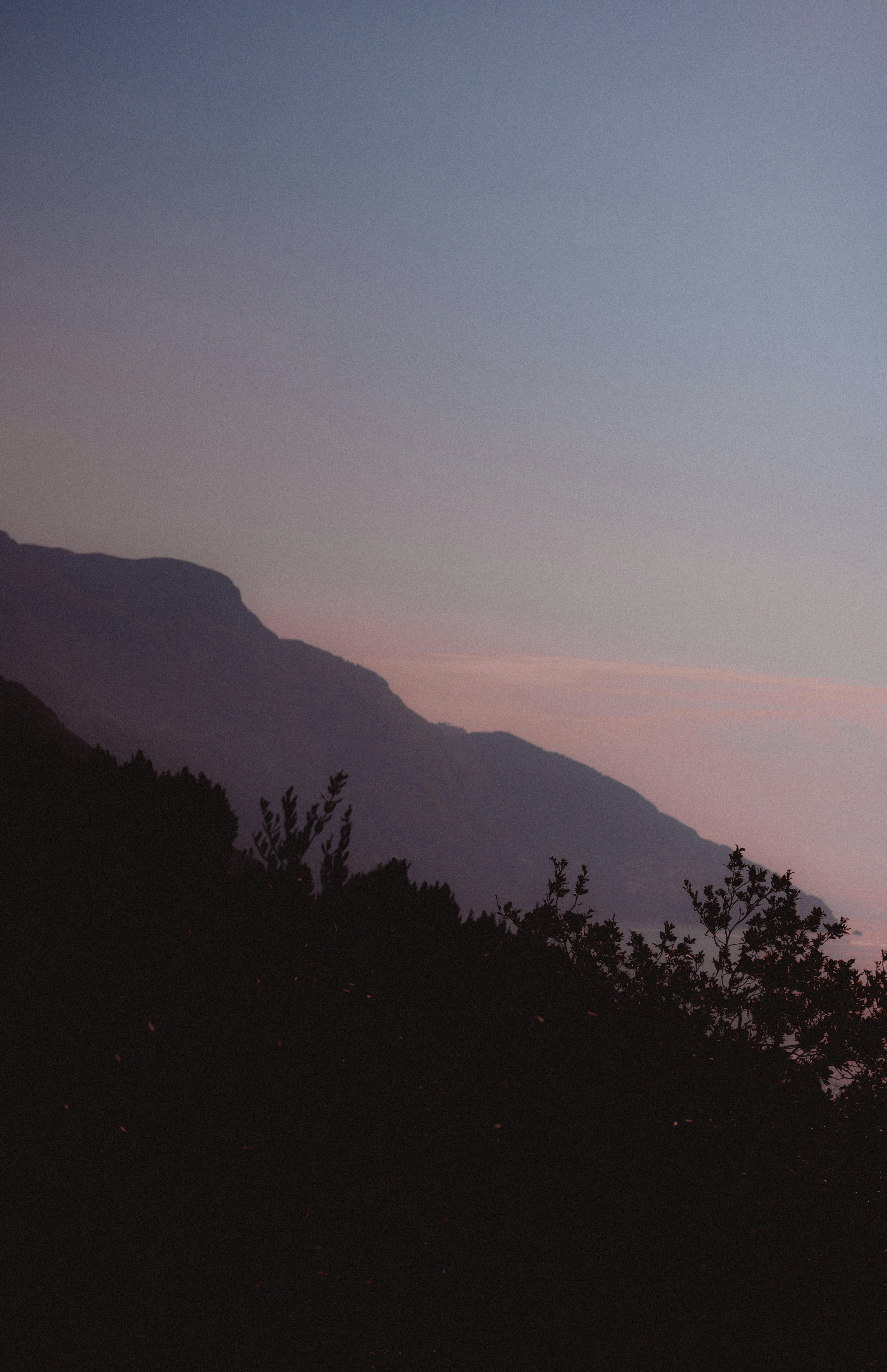 Photo by kennethliphotography