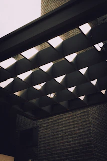 Geometric pattern of dark beams and white light