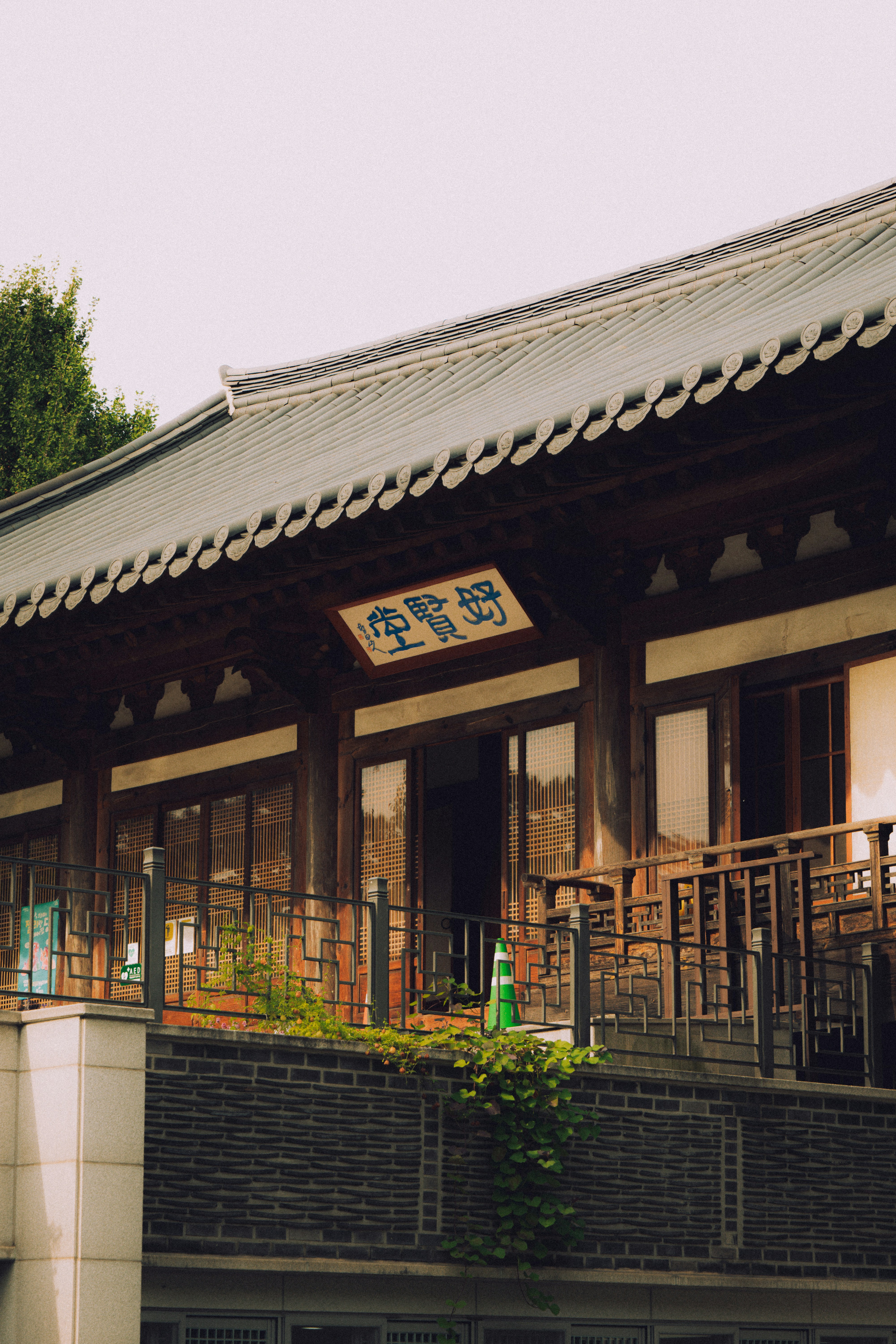 Photo by brother_yoon