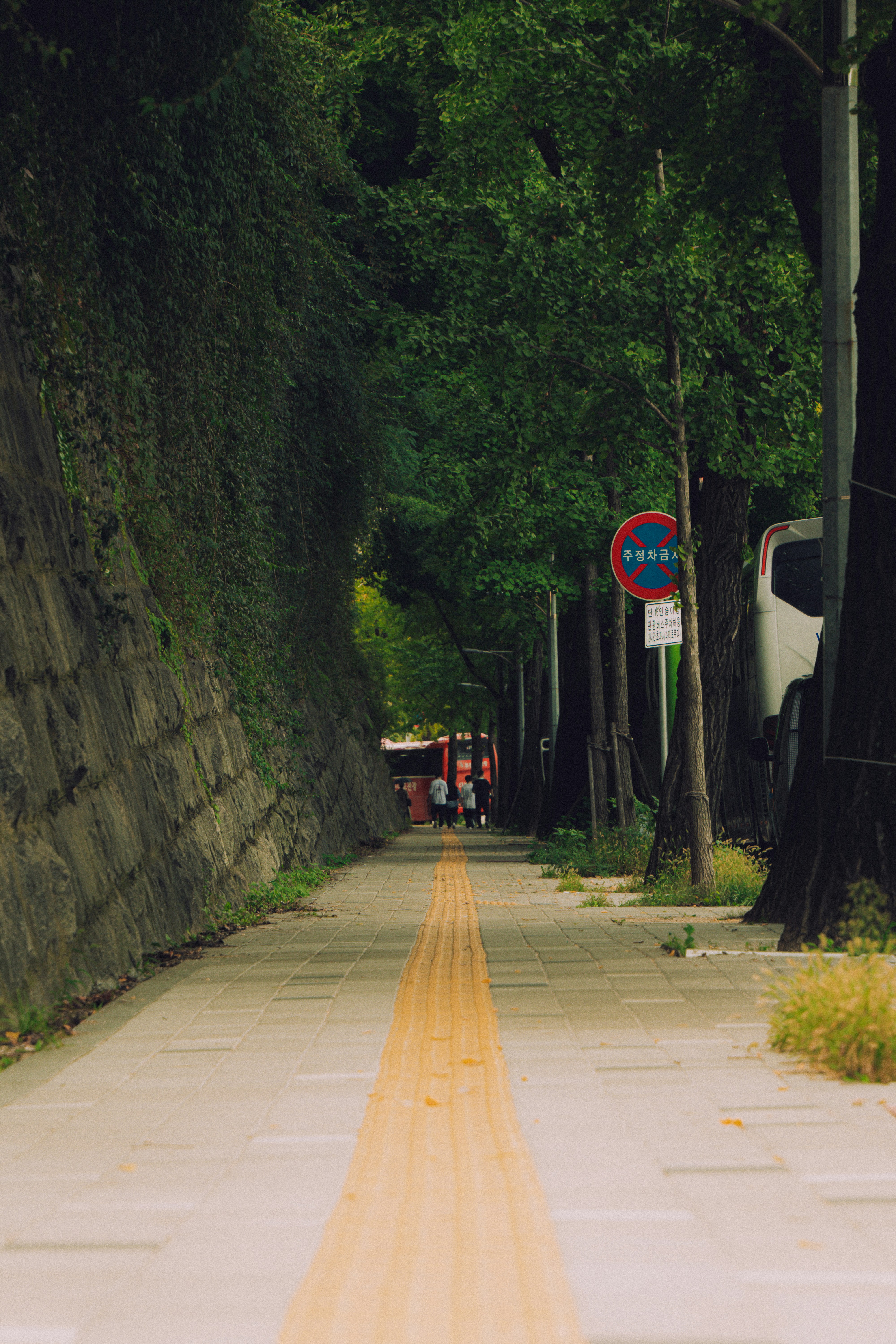 Photo by brother_yoon