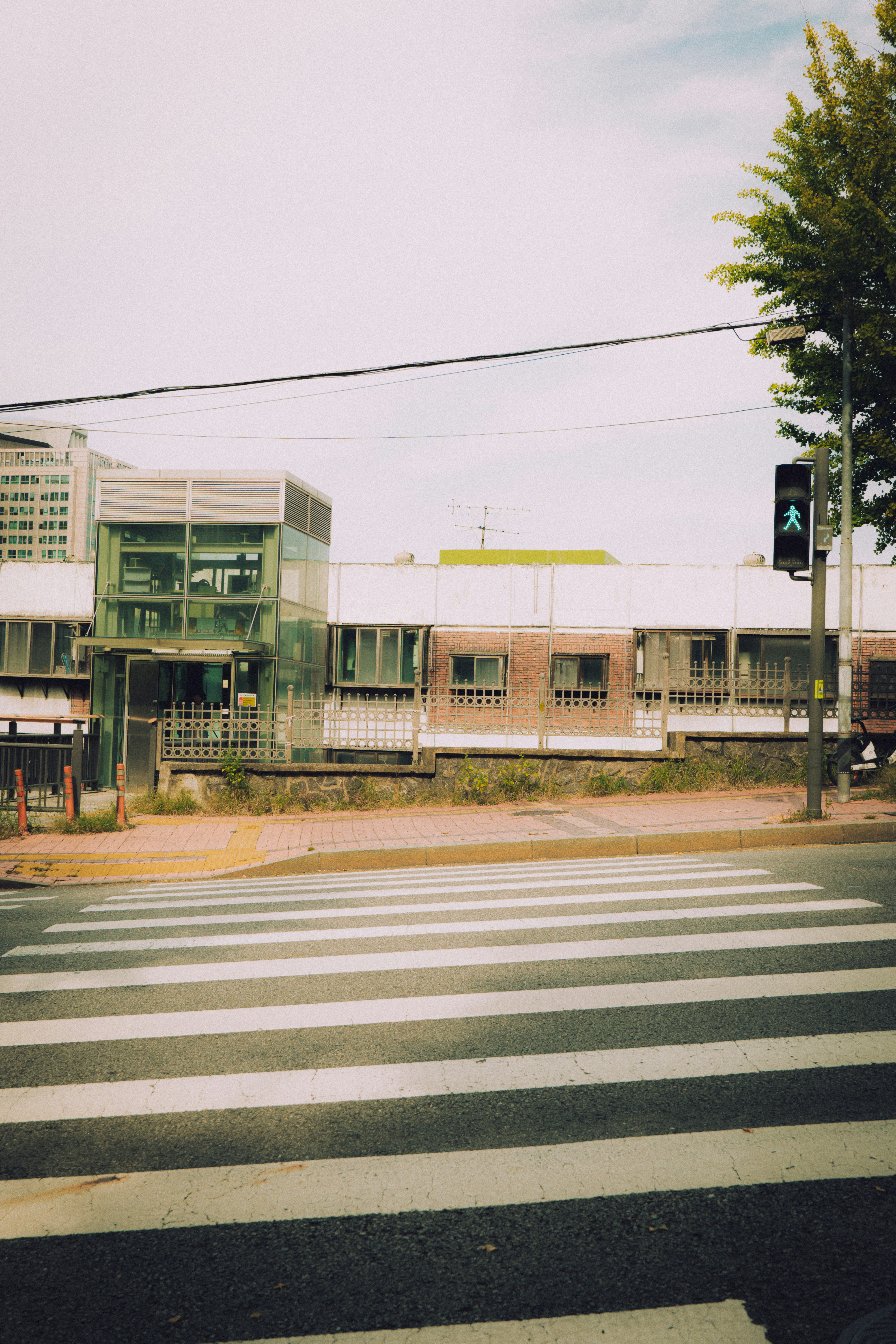 Photo by brother_yoon