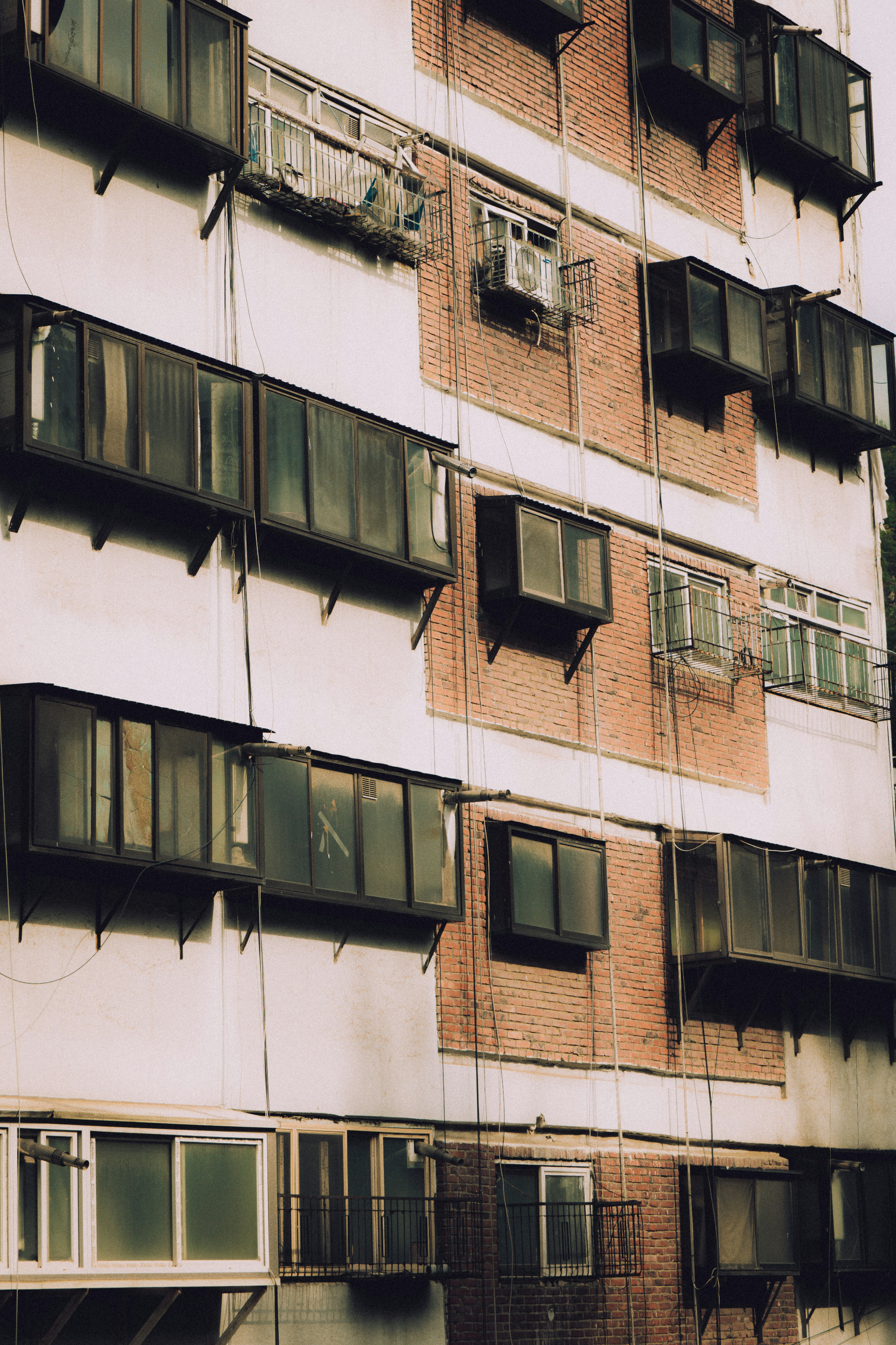 Photo by brother_yoon