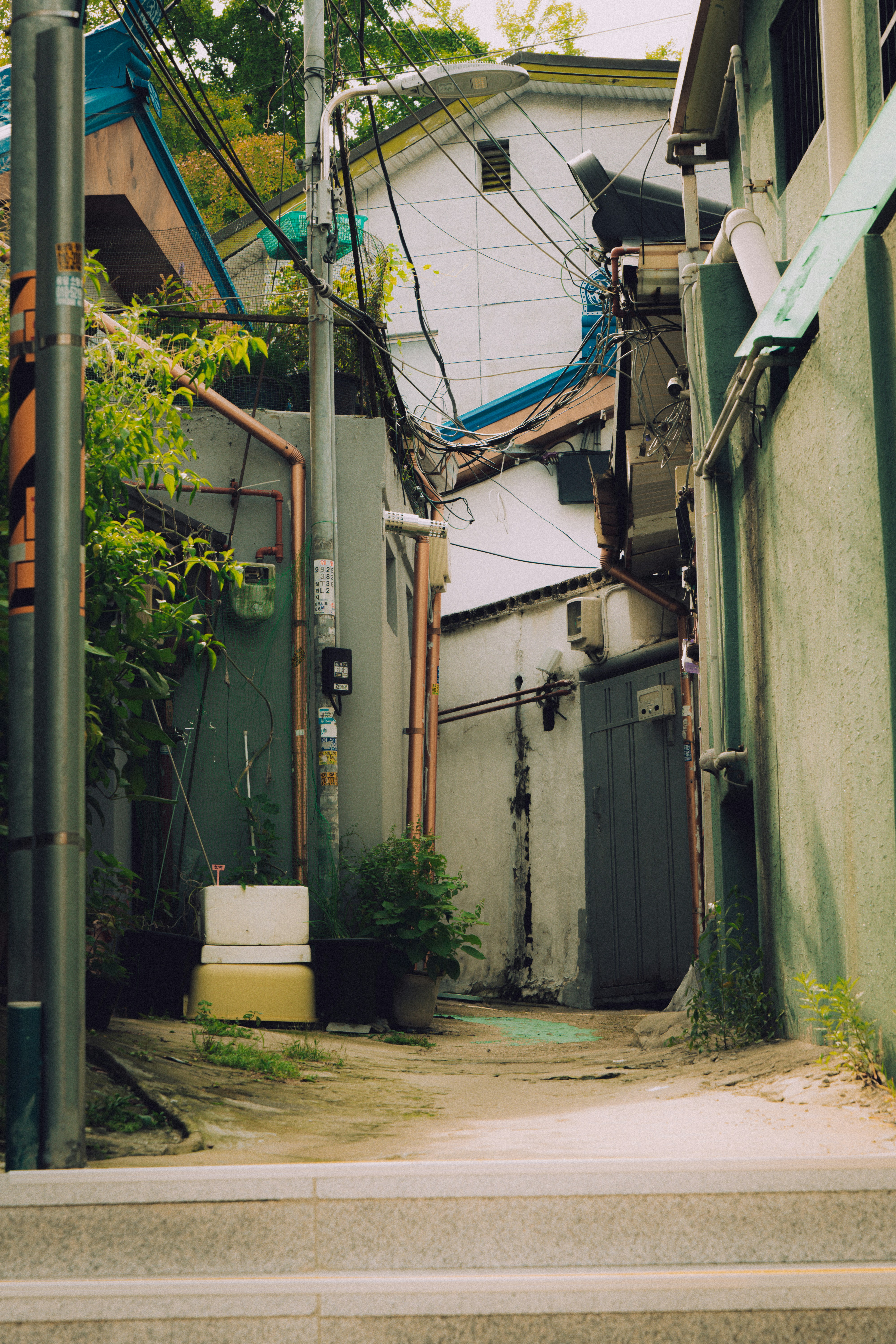 Photo by brother_yoon