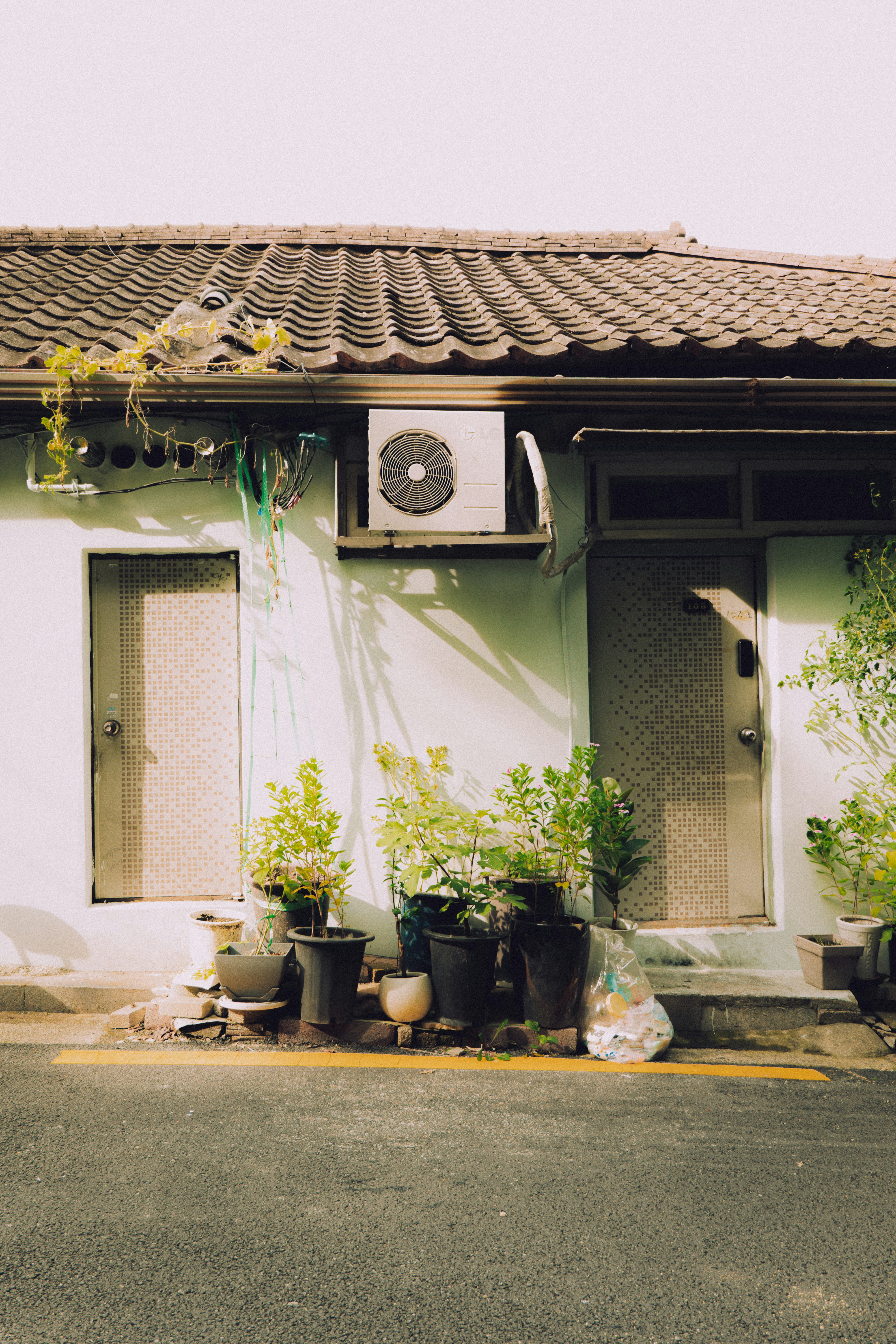 Piante in vaso fuori da due porte su un edificio.