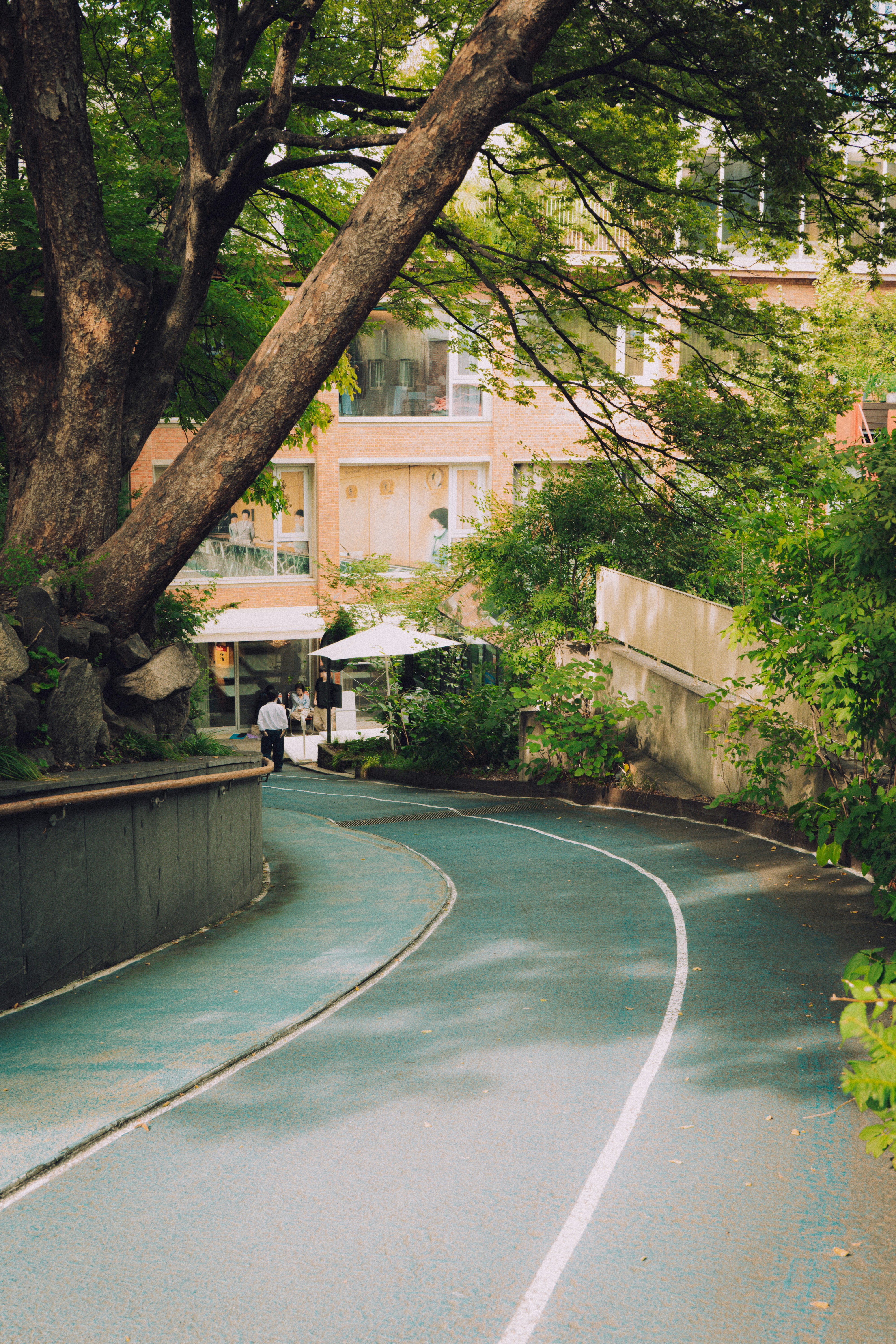 Curving path leads to building with trees