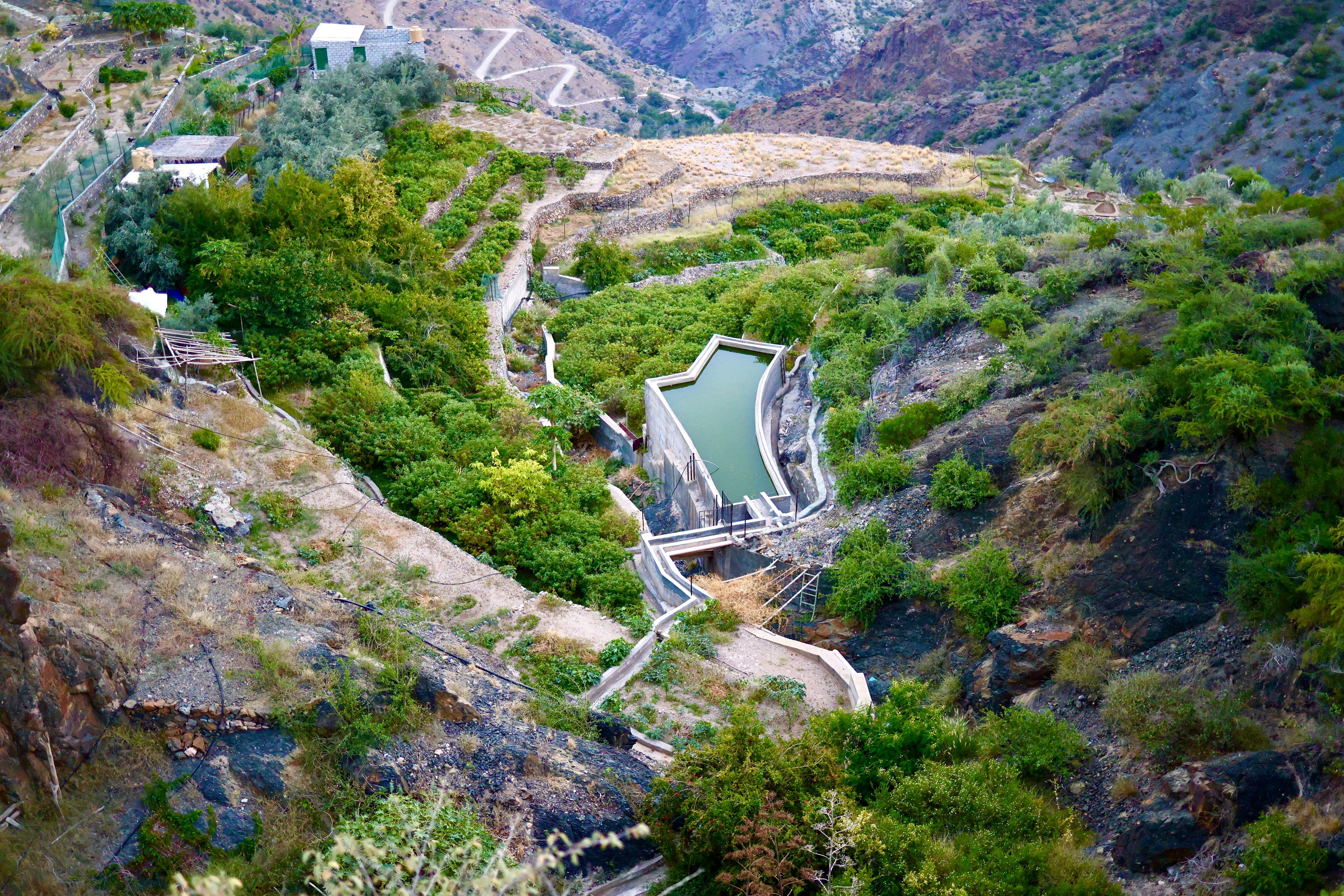 Terraced hillside with a water reservoir and lush greenery.