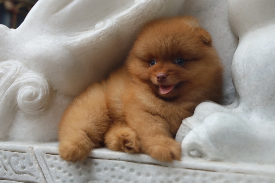 Puppy Worming Schedule UK: How Often and Which Treatment