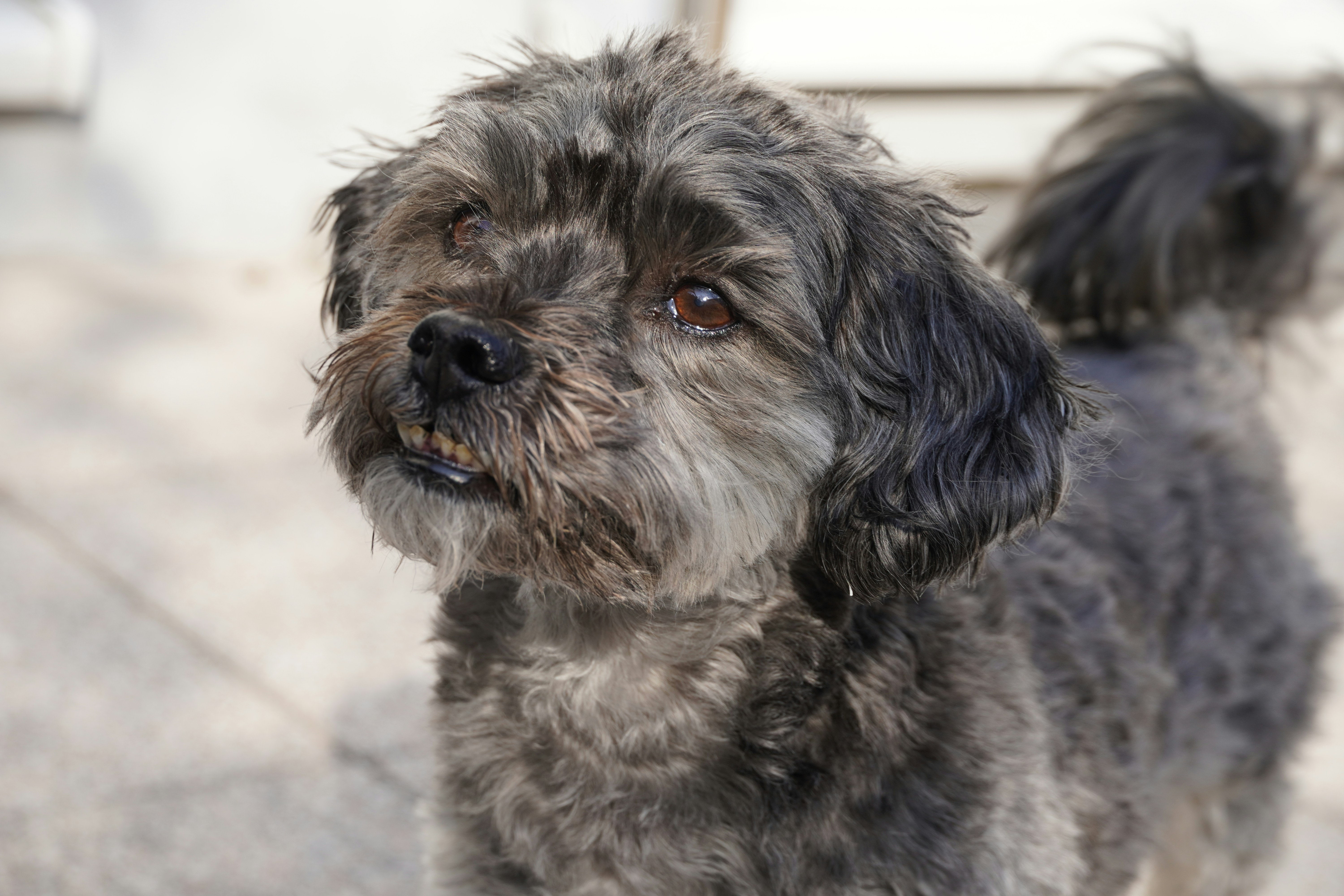 Photo by anneliese_klotz