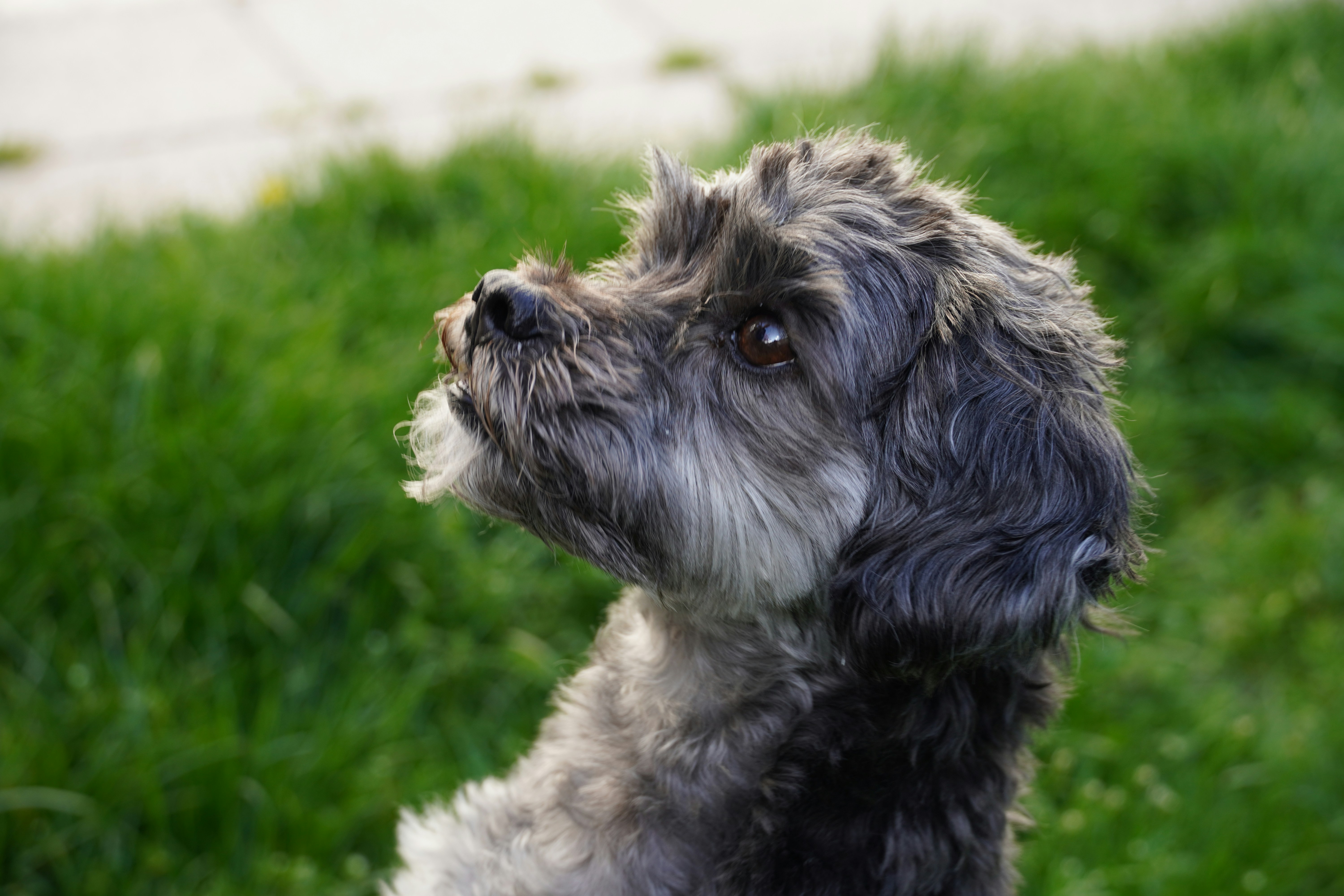 Photo by anneliese_klotz