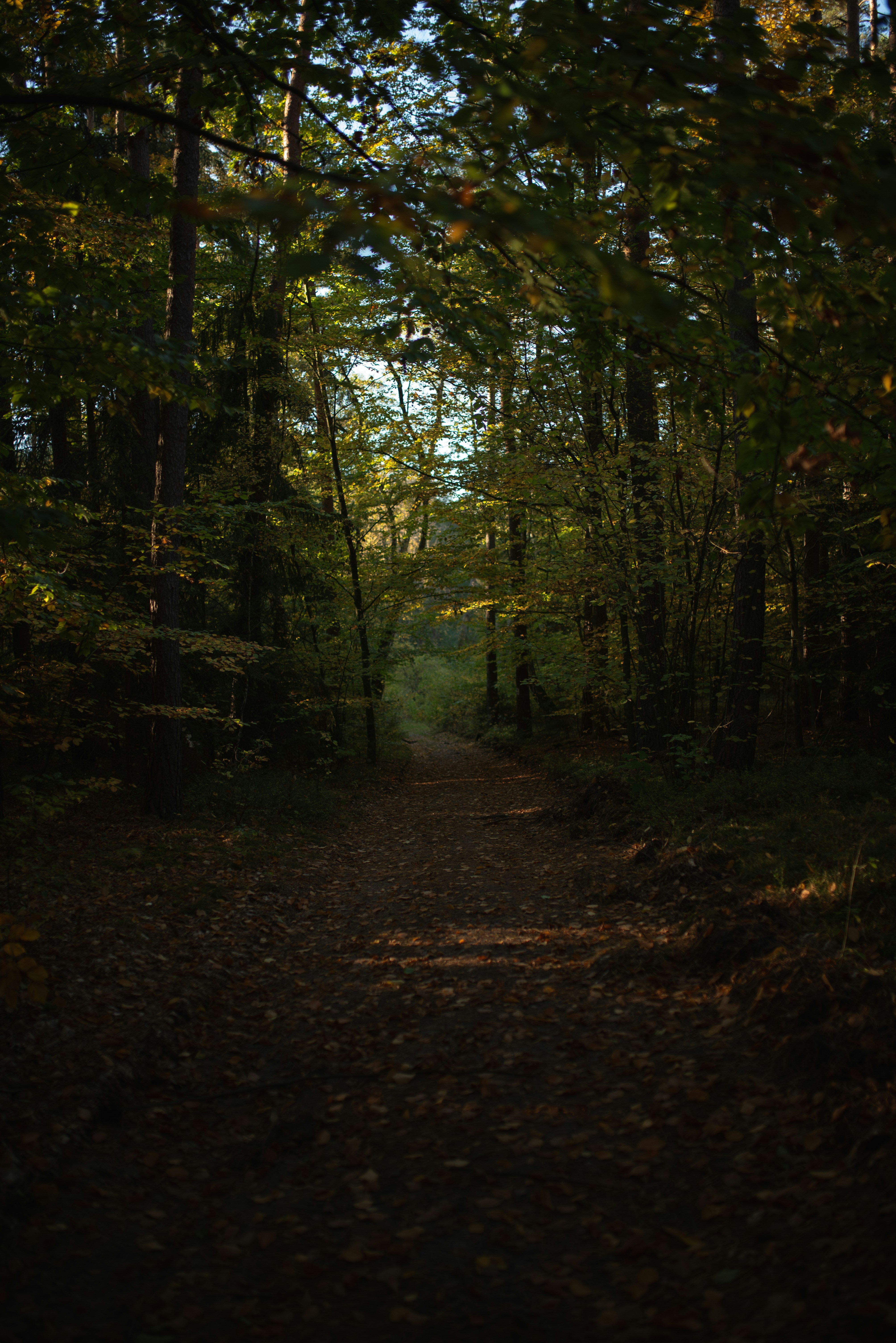 Photo by witchyrefuge