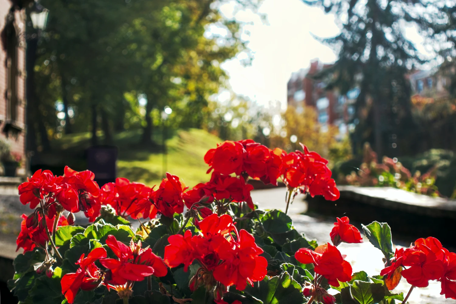 Saturated reds in strong sun often clip in the red channel first, even when the combined histogram looks perfectly safe.