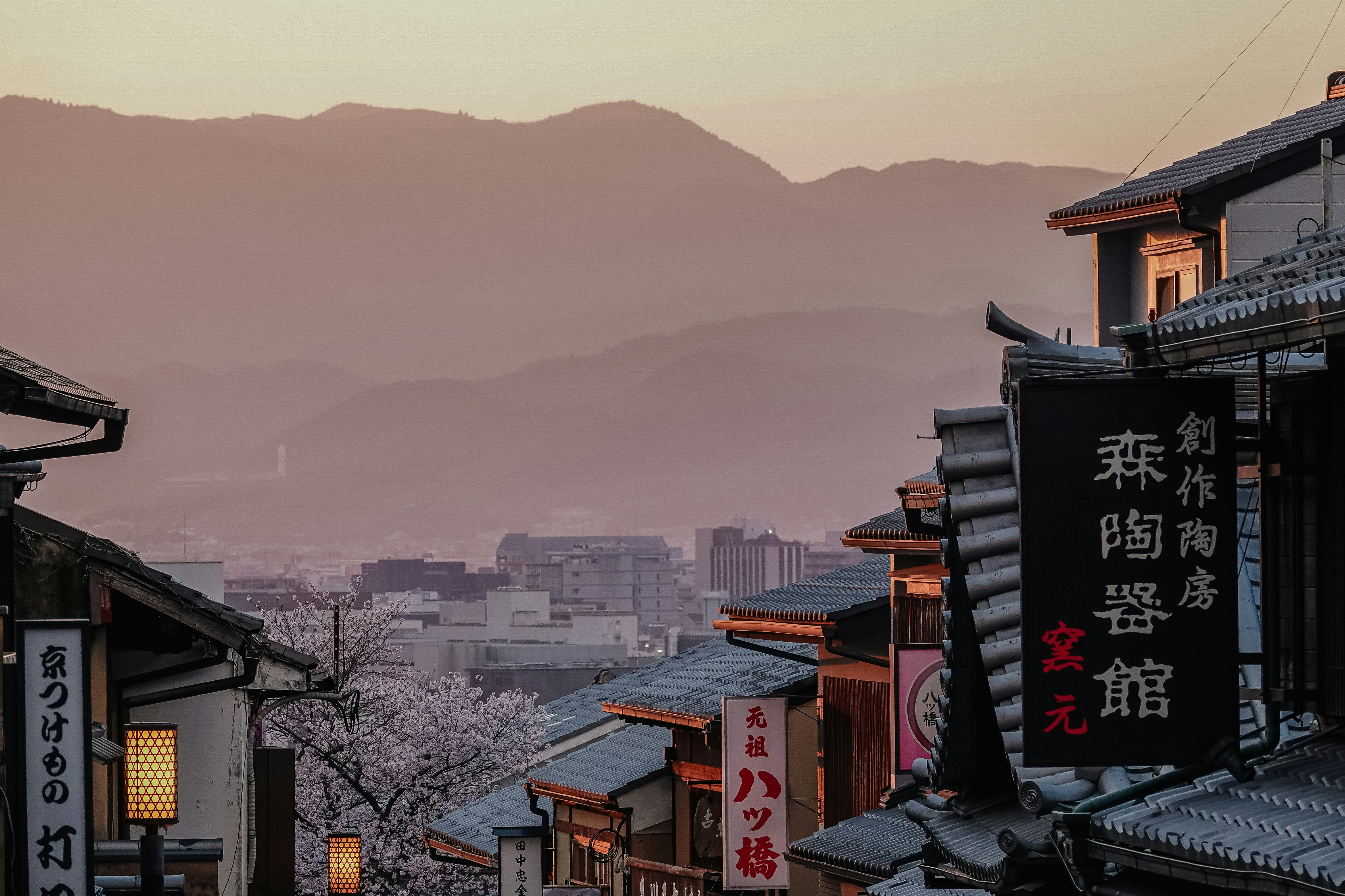 Rue japonaise traditionnelle avec des cerisiers en fleurs et des montagnes.