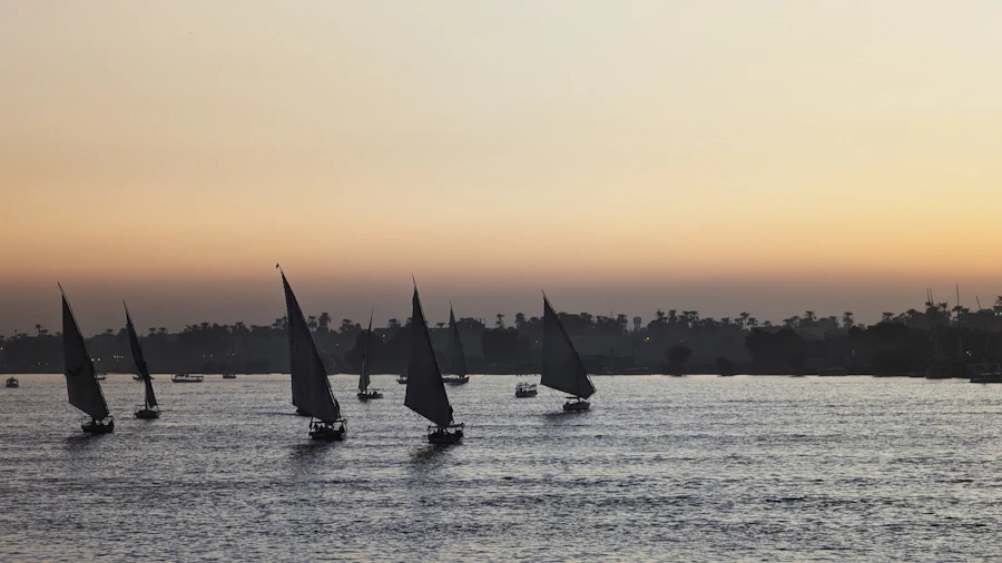 Felucca sailing the Nile at sunset
