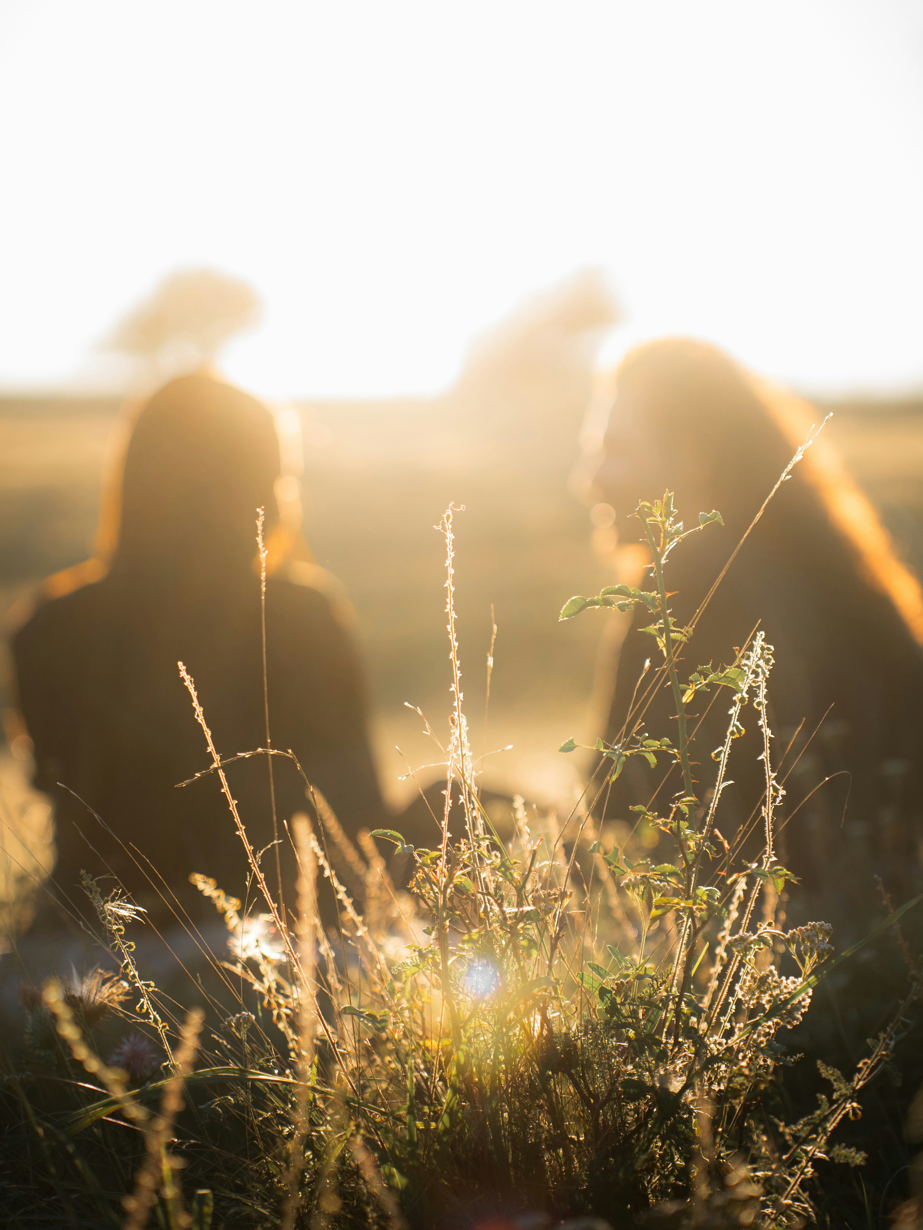 soft focus morning light, wallpaper, Mata Kering Saat Bangun Tidur: Penyebab & Cara Mengatasi 6