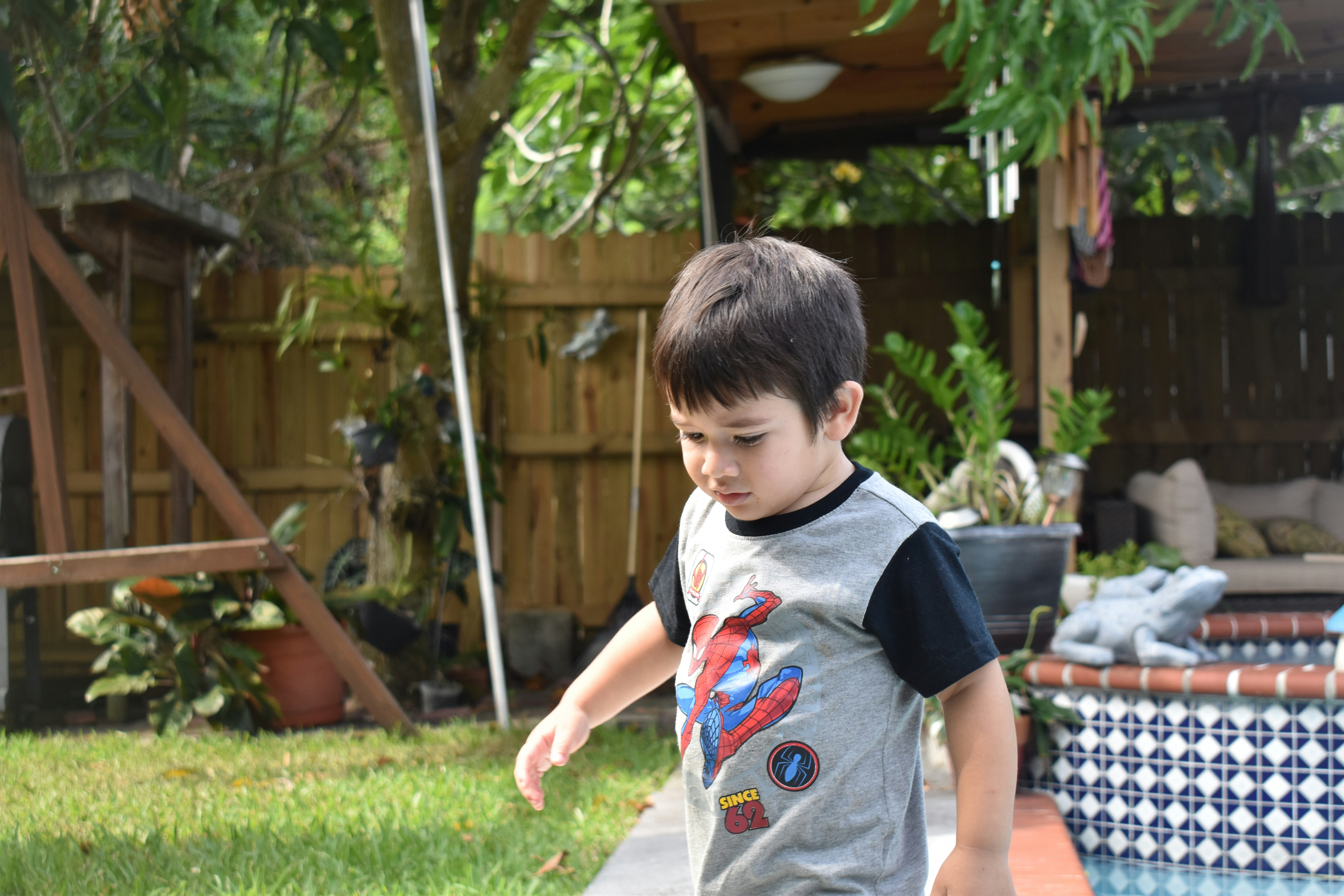 Young boy in a spiderman shirt in a backyard.