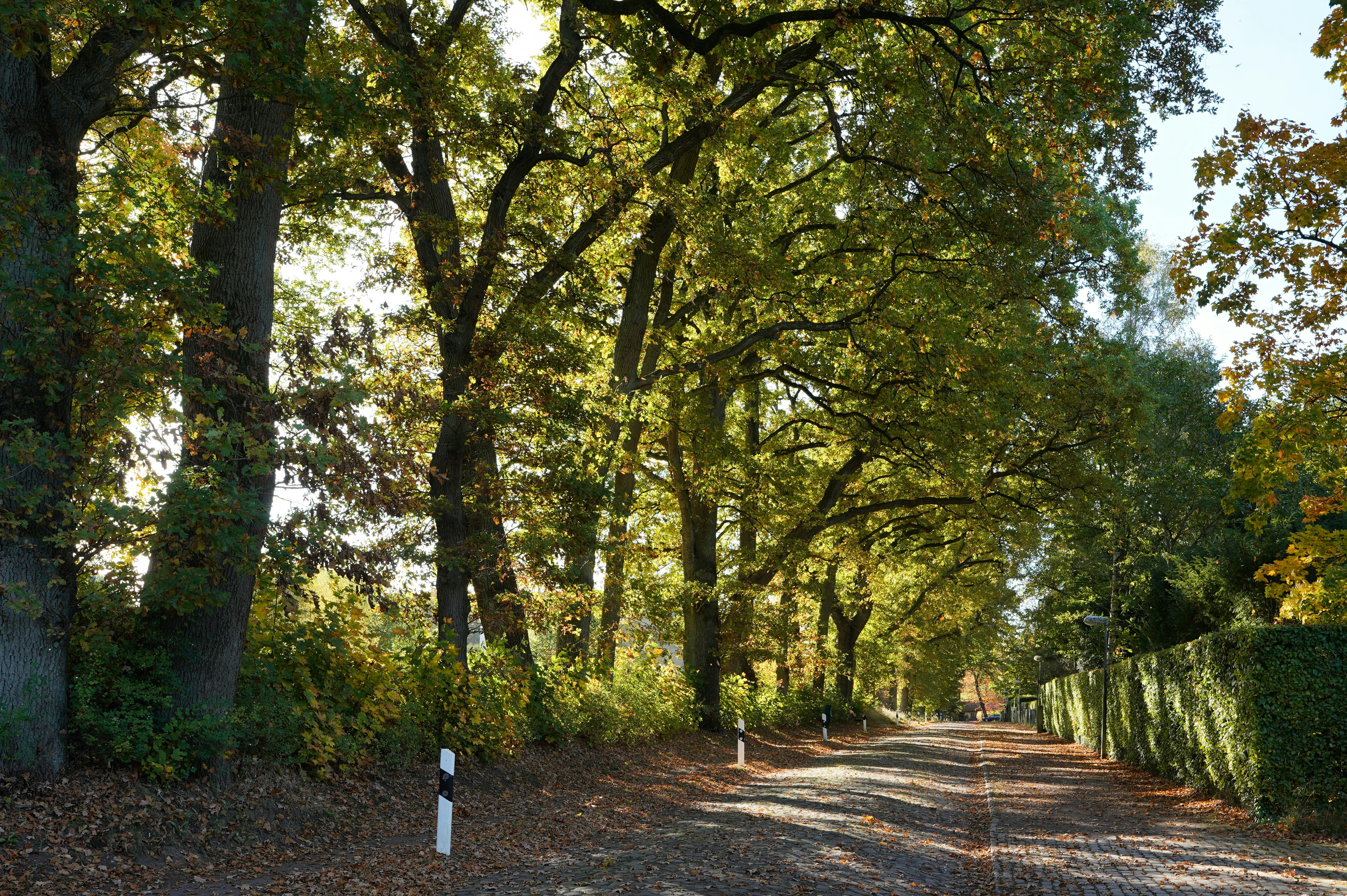 Photo by hamburgmeinefreundin