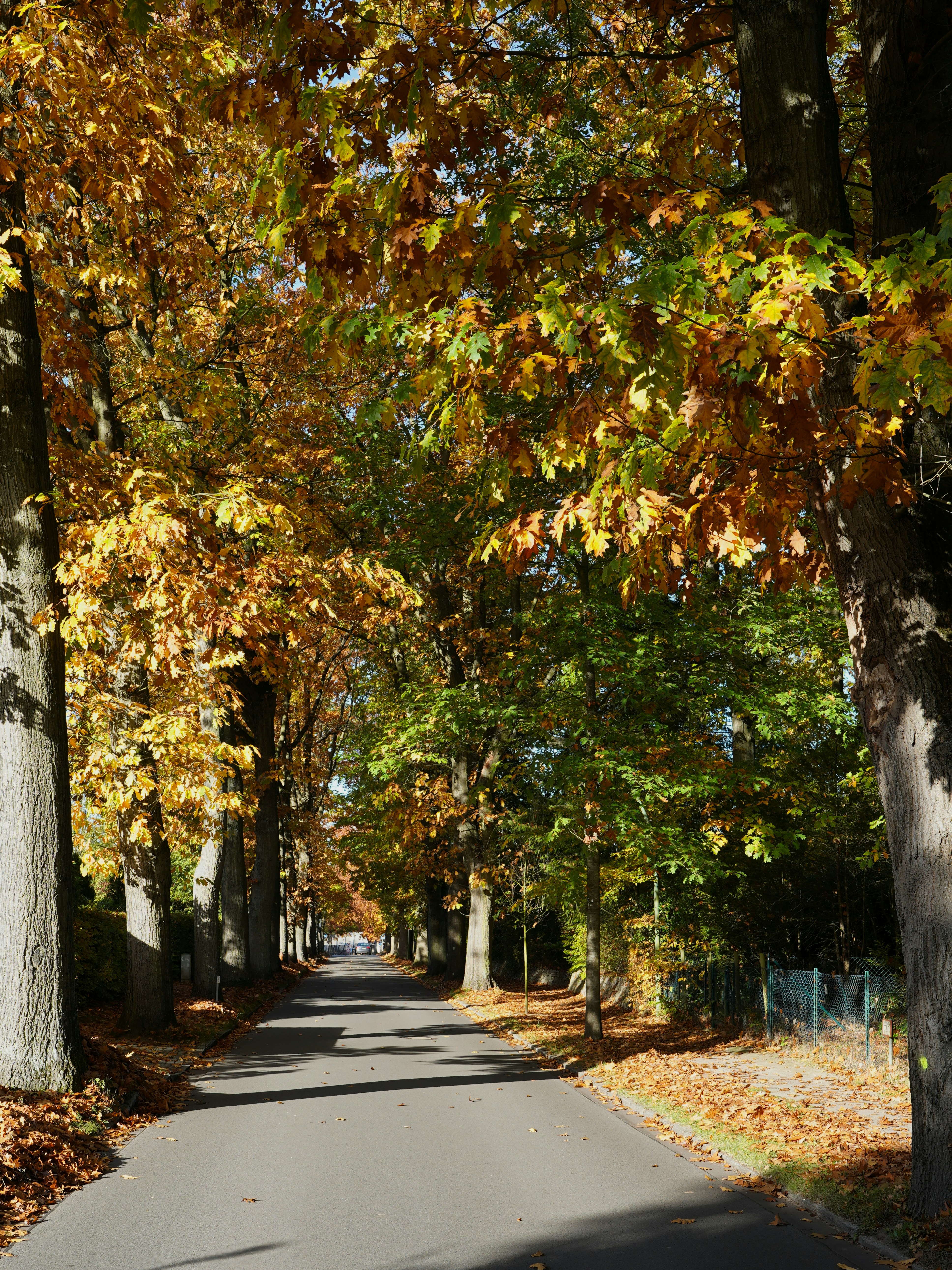 Photo by hamburgmeinefreundin