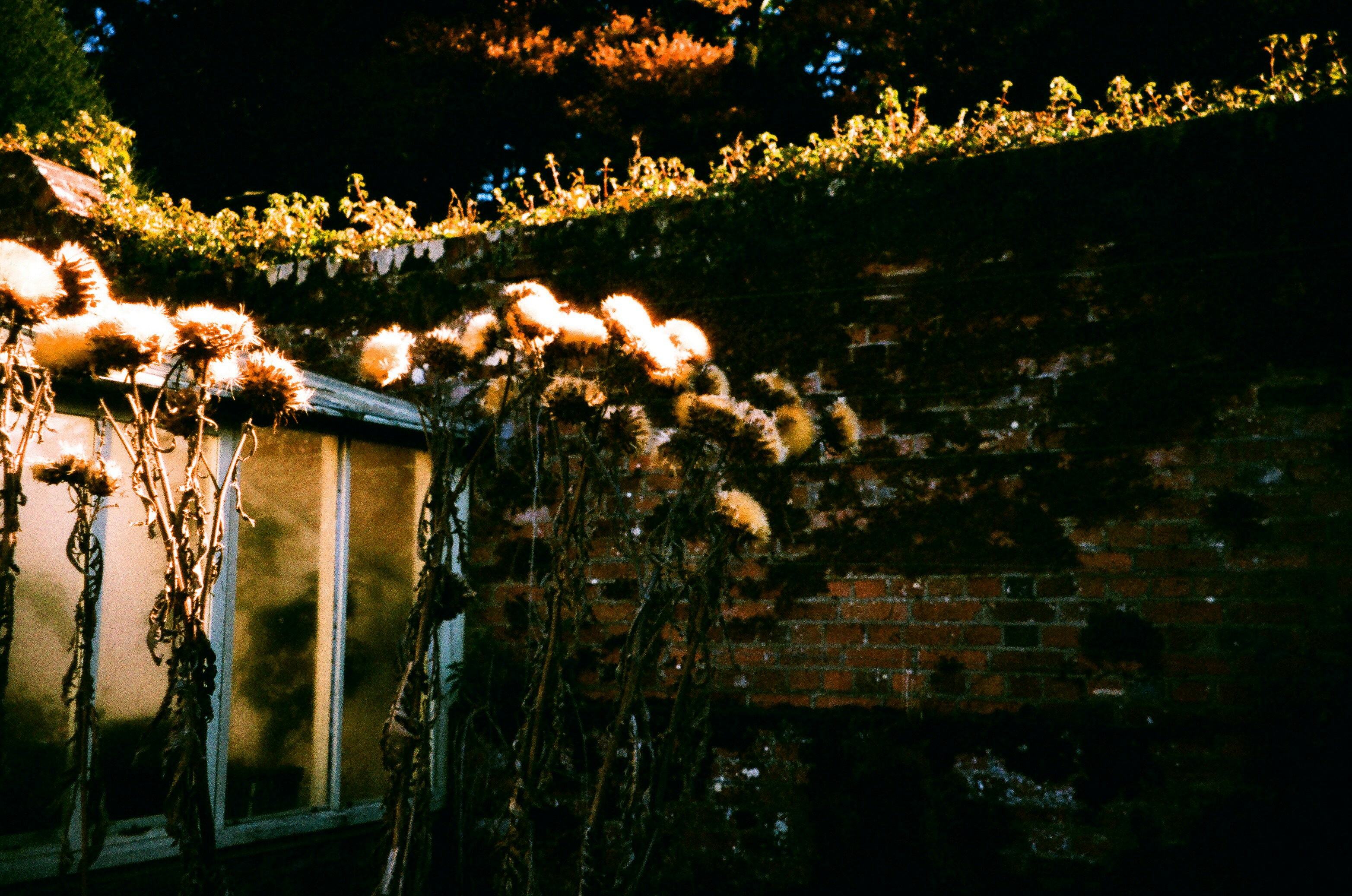 Photo by tanyabarrow