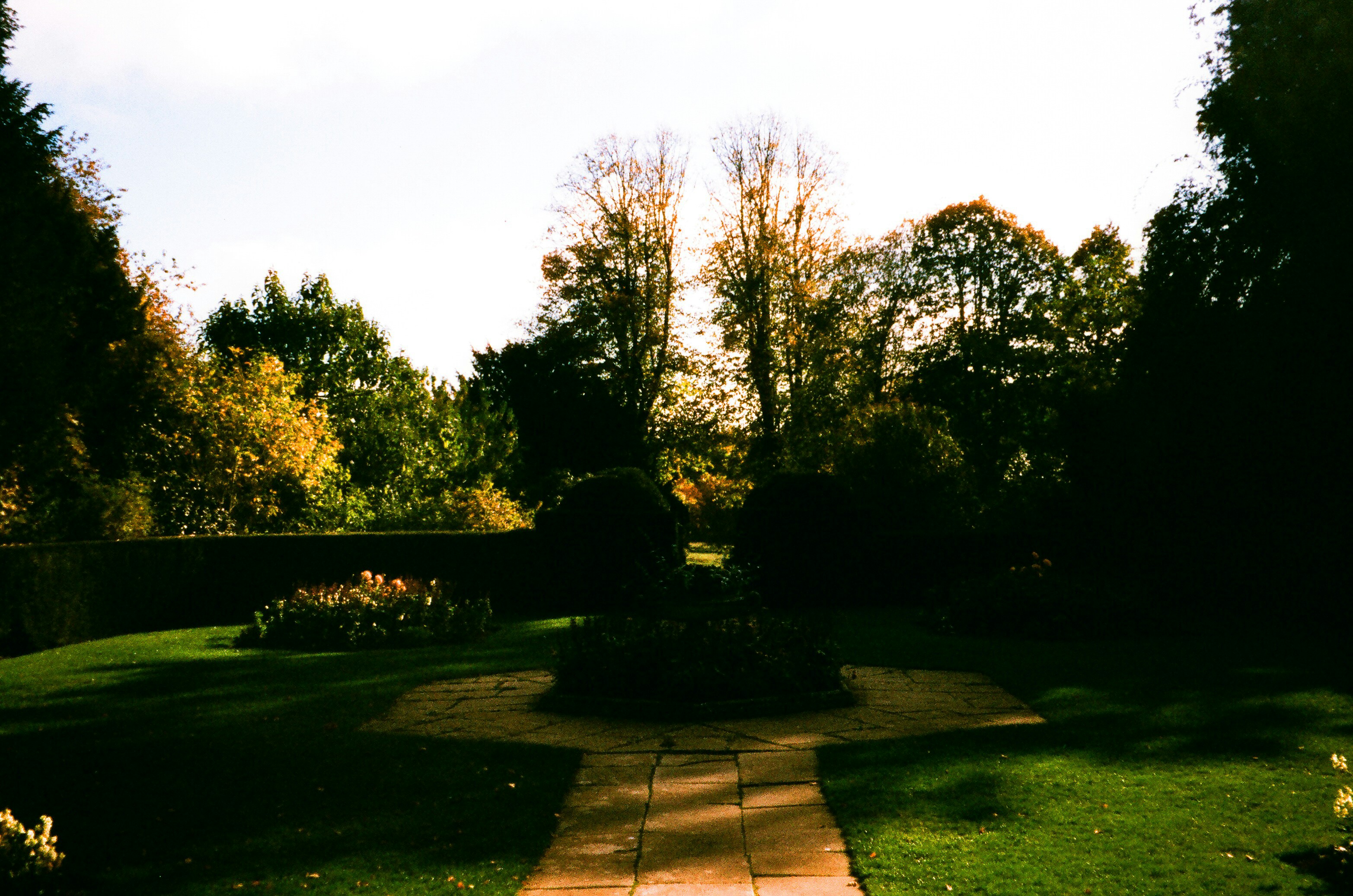 Photo by tanyabarrow