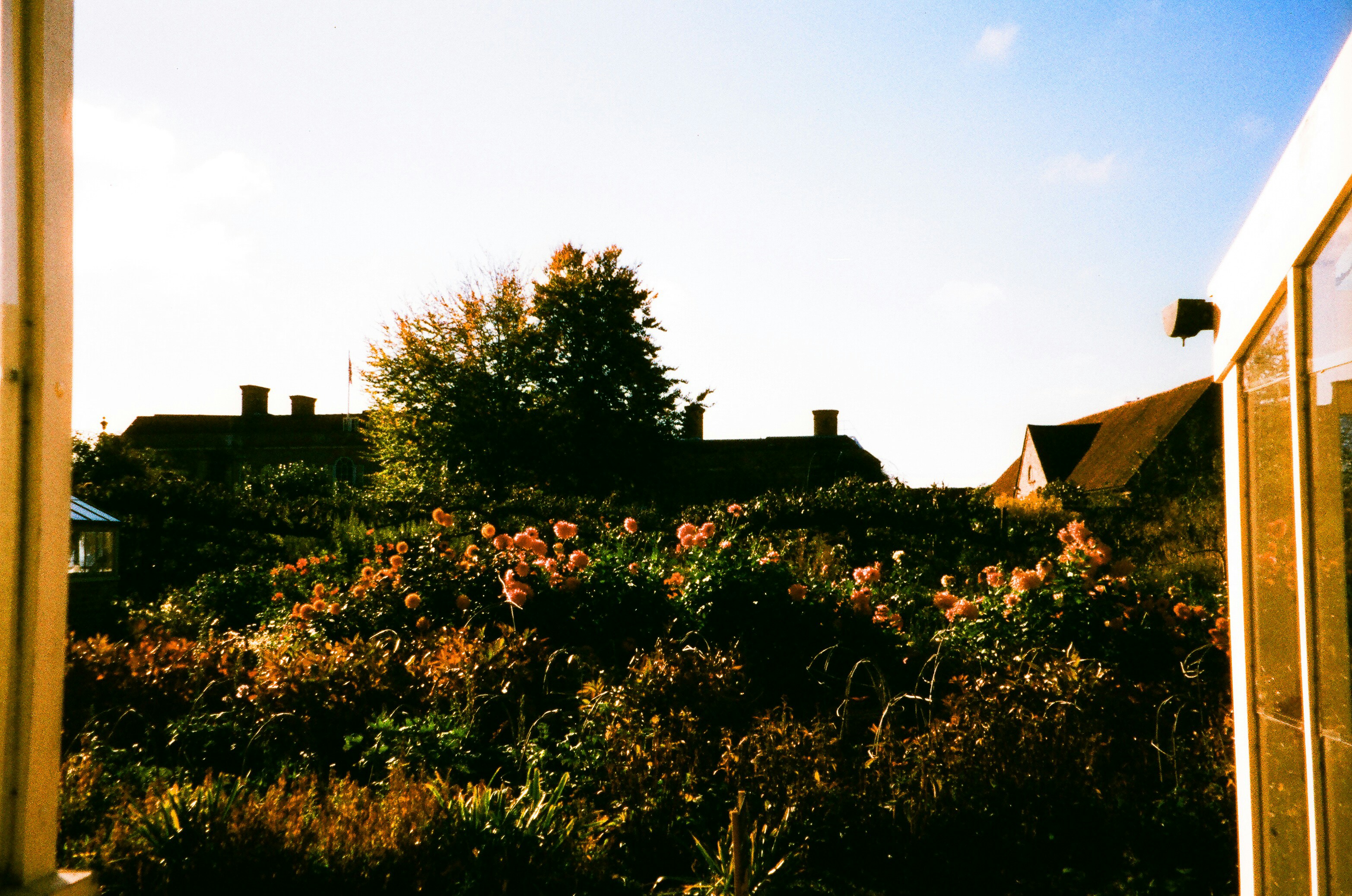 Photo by tanyabarrow