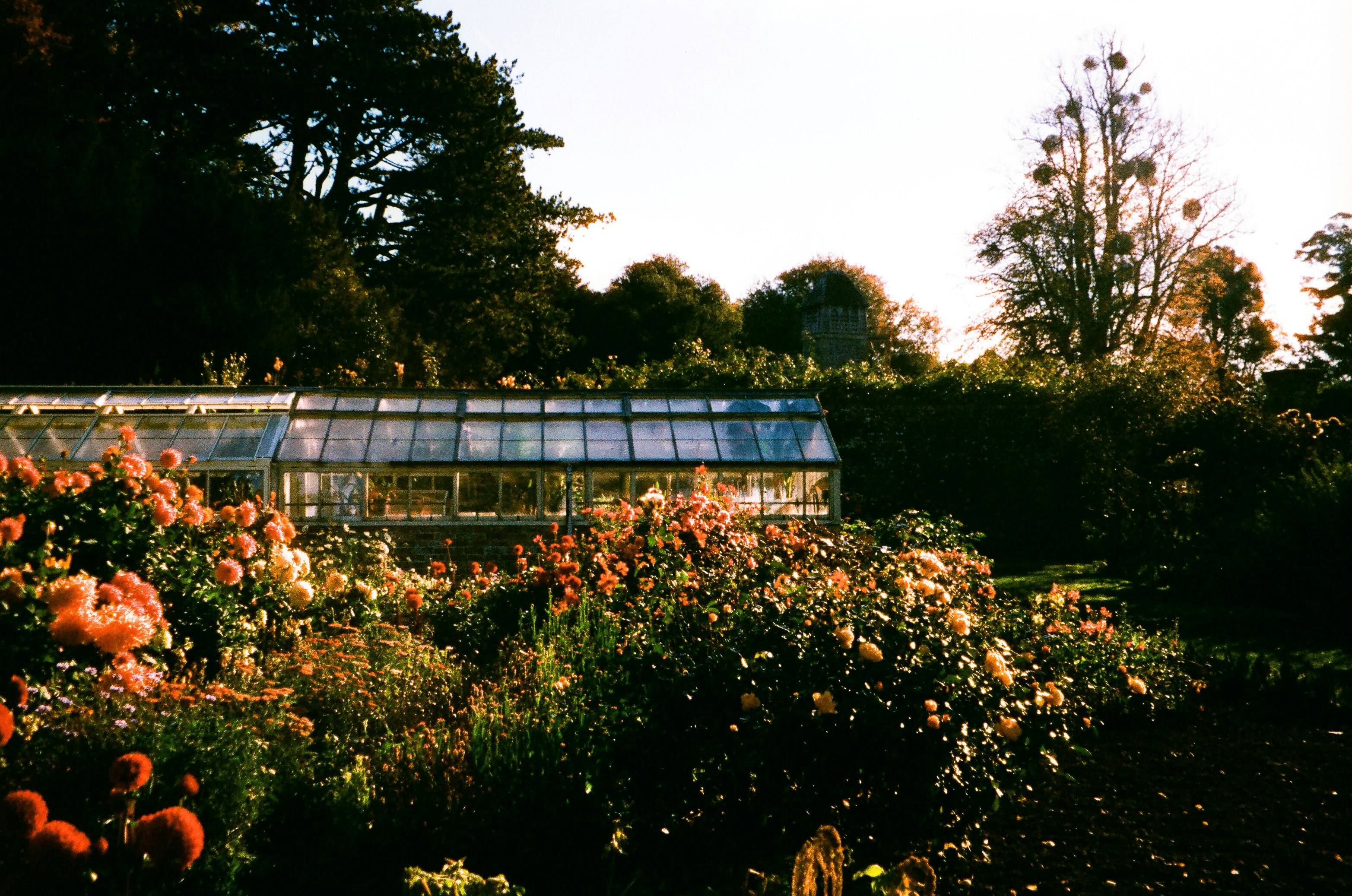 Photo by tanyabarrow