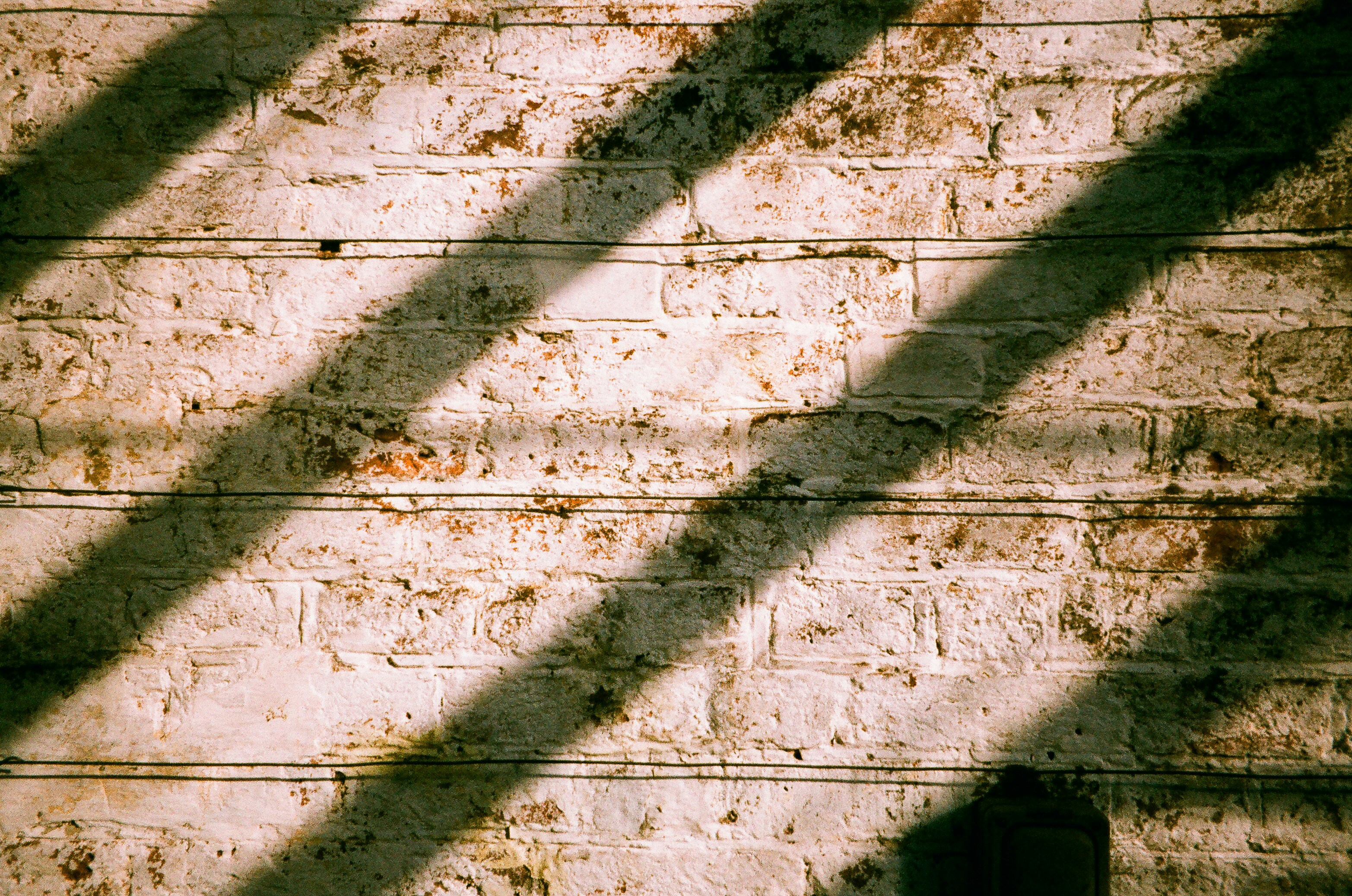 Photo by tanyabarrow