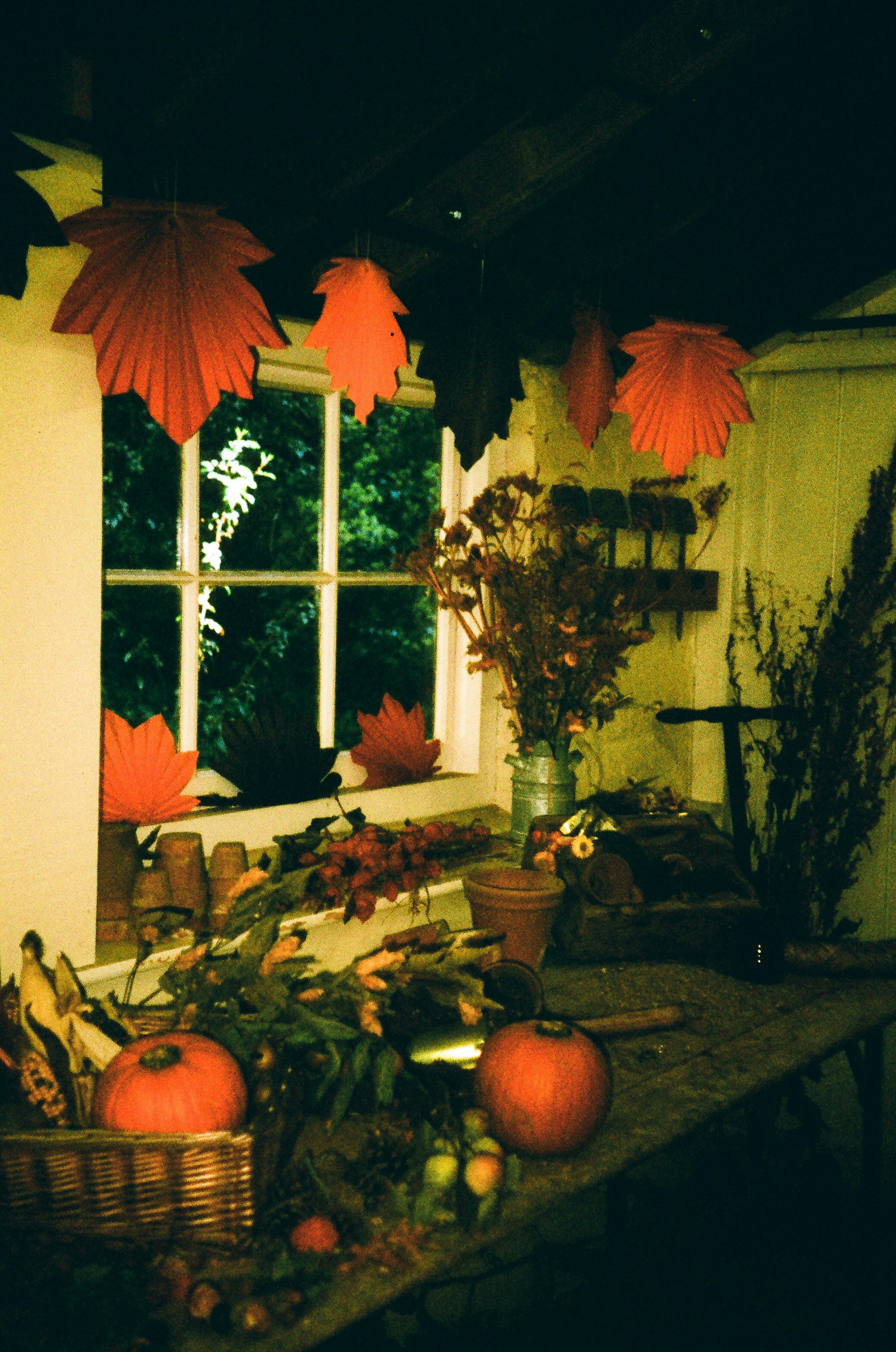 autumn harvest decor, wallpaper, Thanksgiving Crafts for Adults: Festive DIY Ideas 5