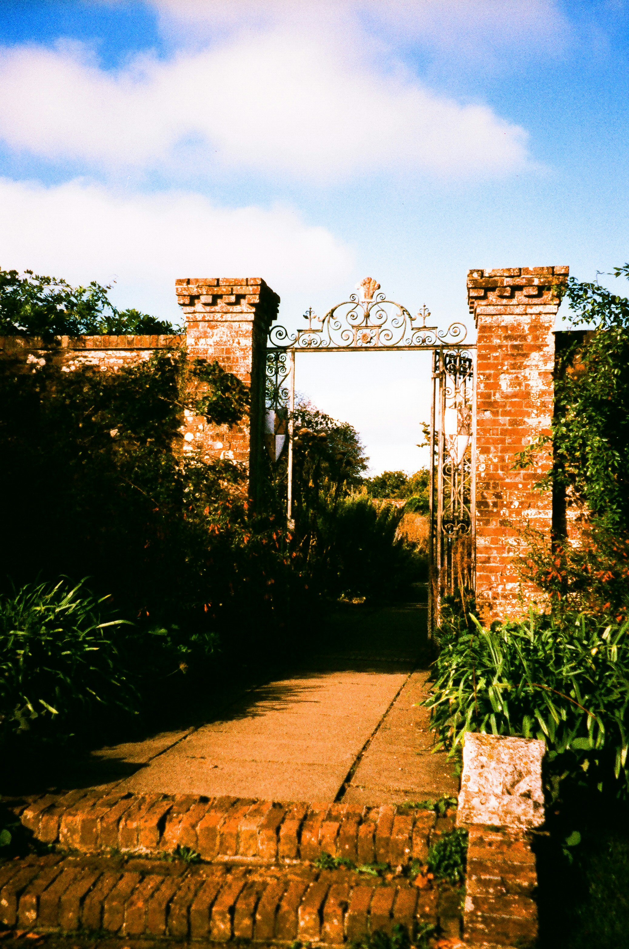 Photo by tanyabarrow