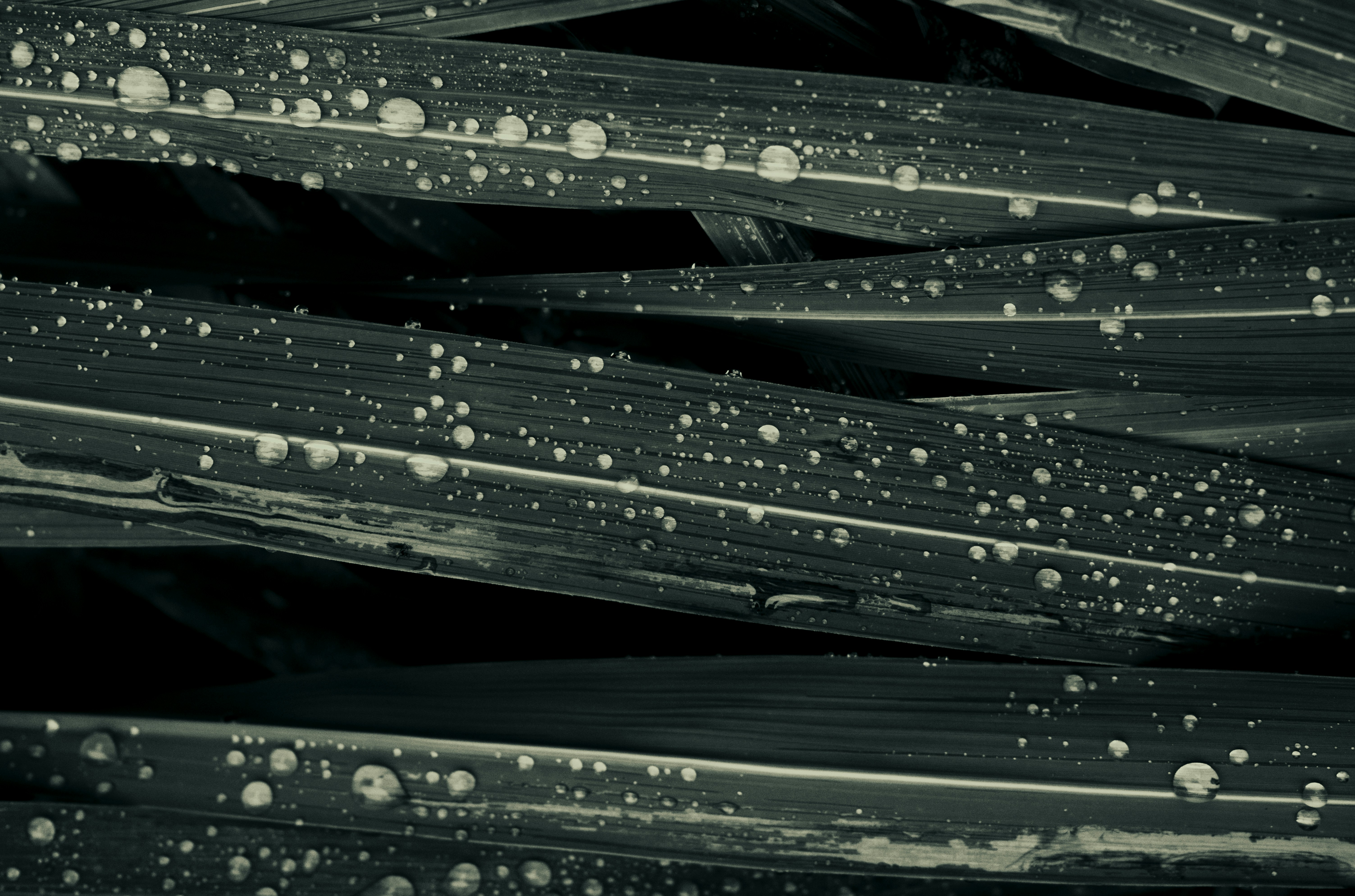 Photo by evil_bumblebee