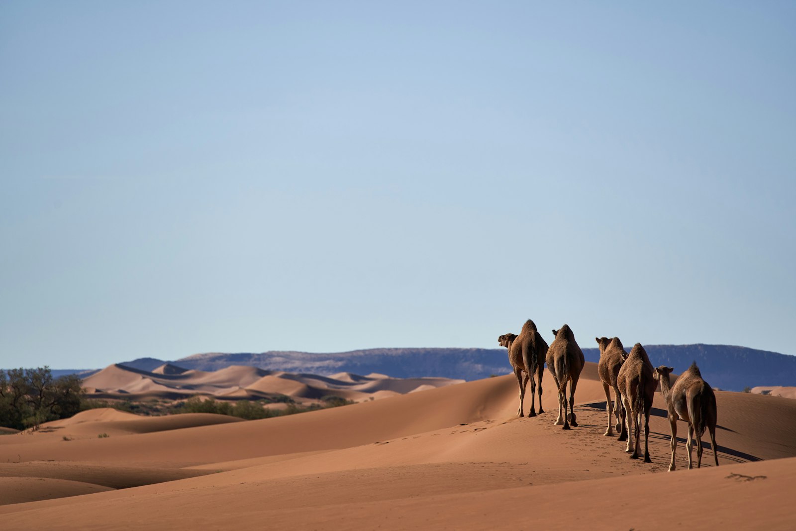 Le Grand Tour de la Tunisie