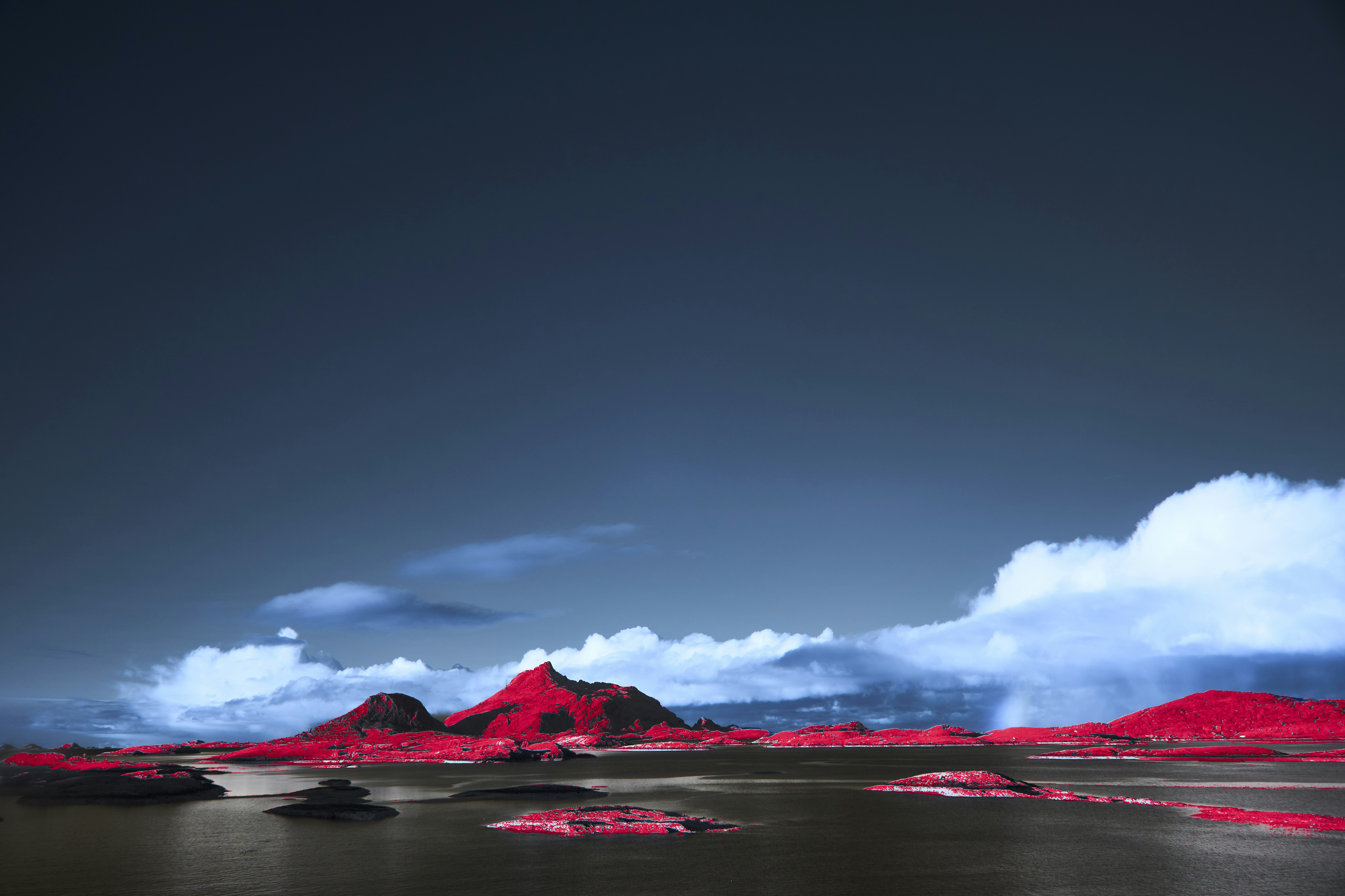 Photo by wolfgang_hasselmann