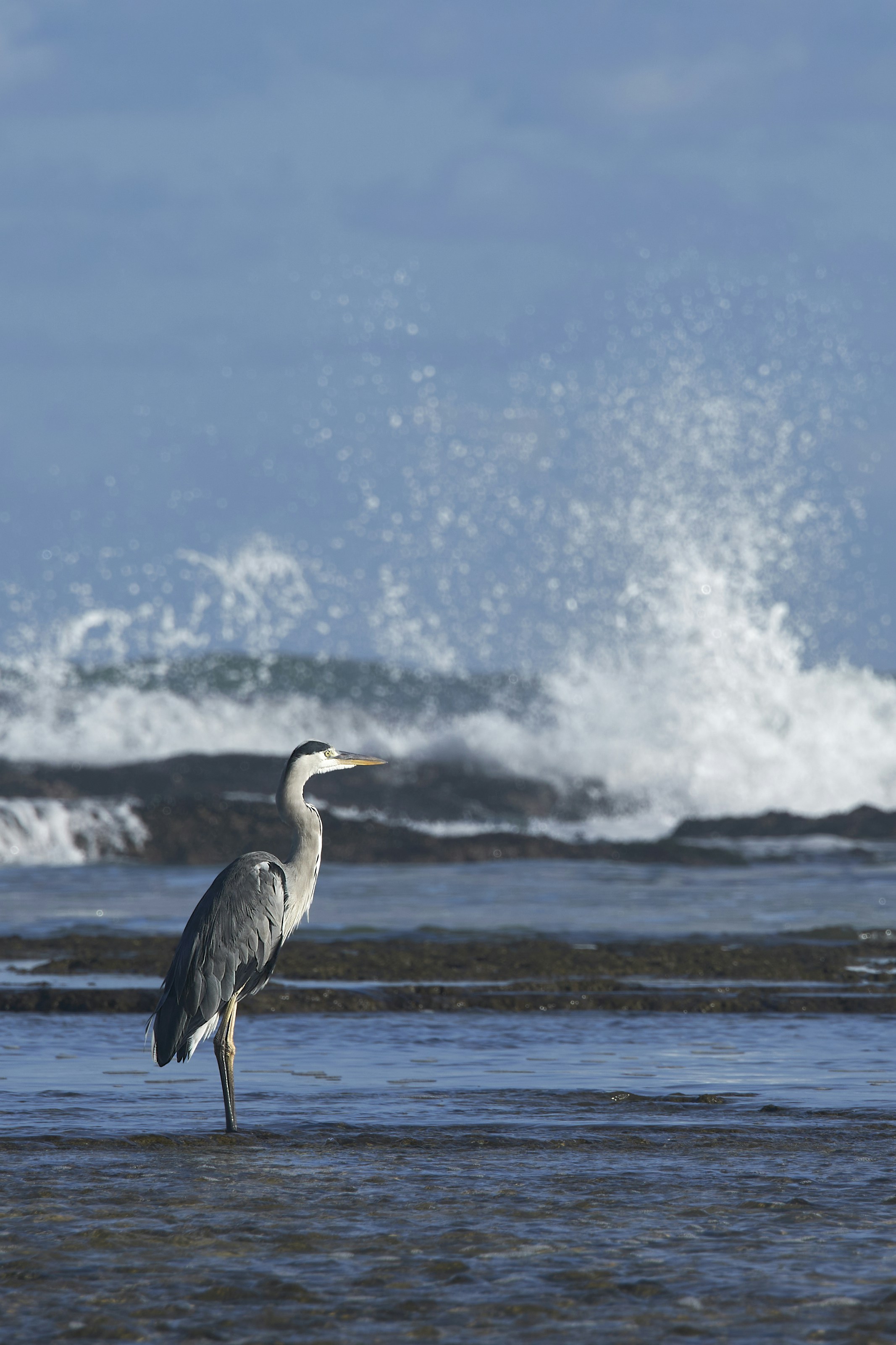 Photo by wolfgang_hasselmann