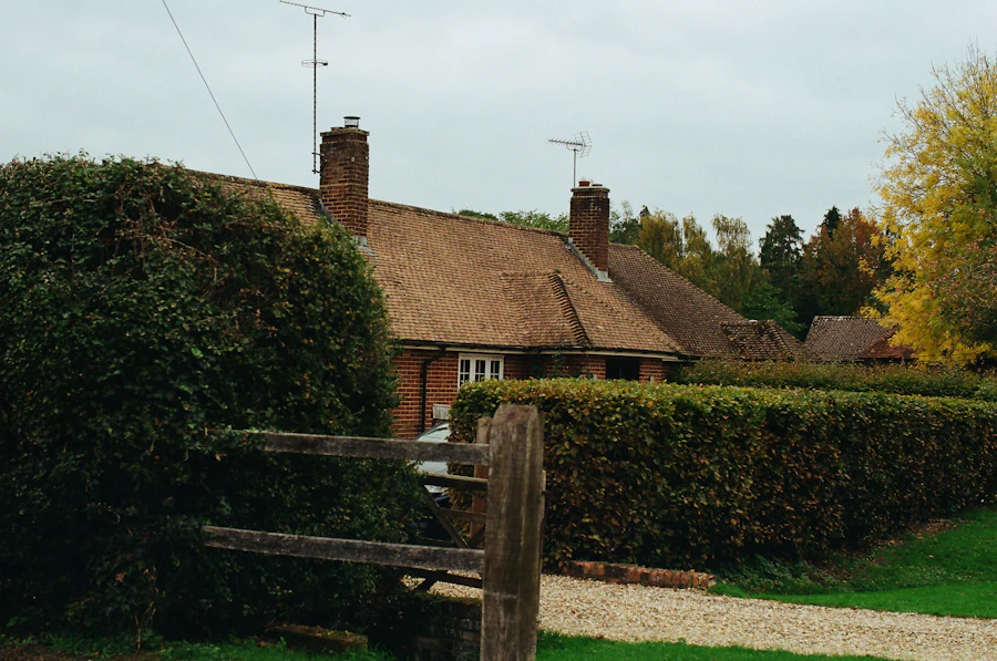 Insure and repair the home