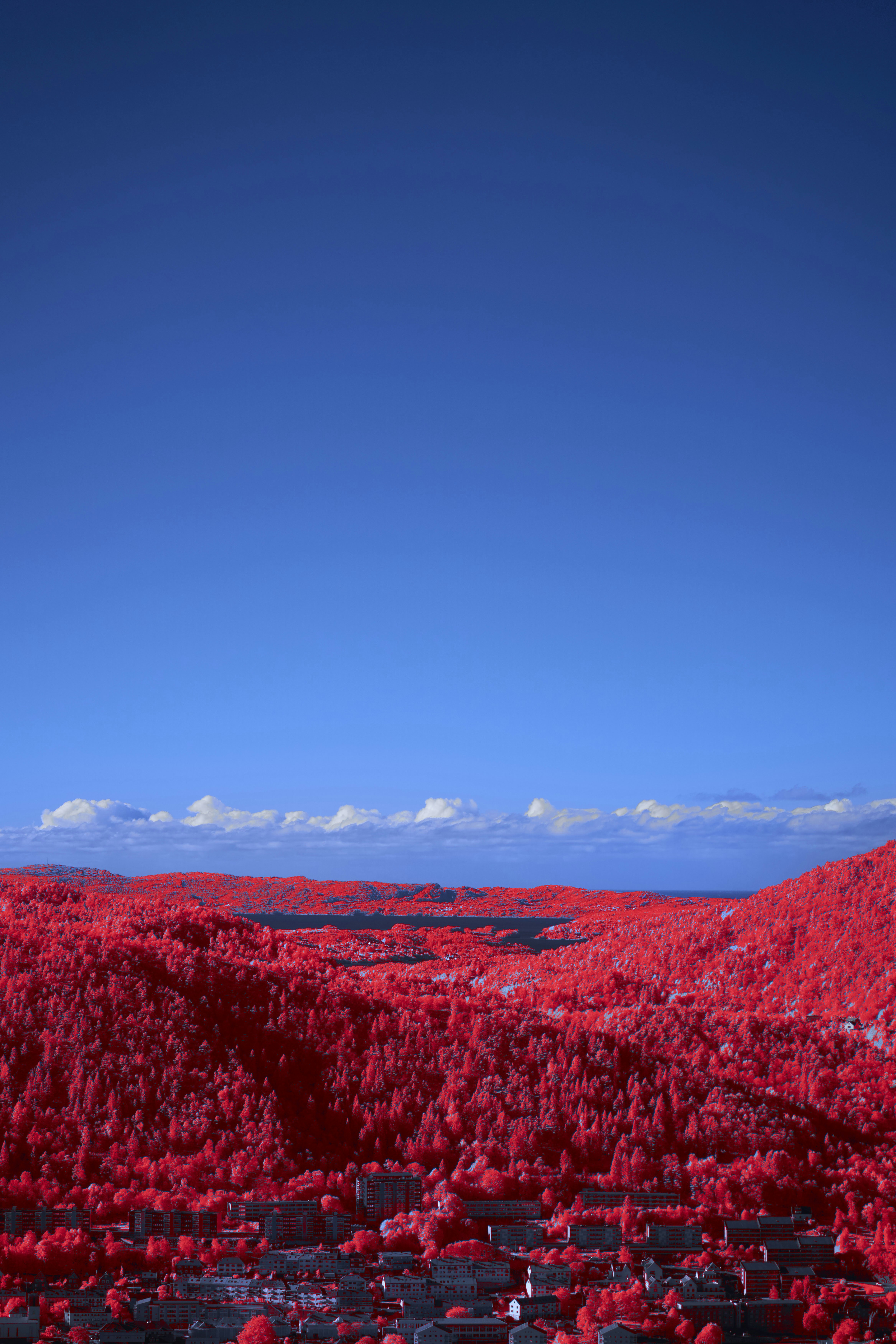 Photo by wolfgang_hasselmann