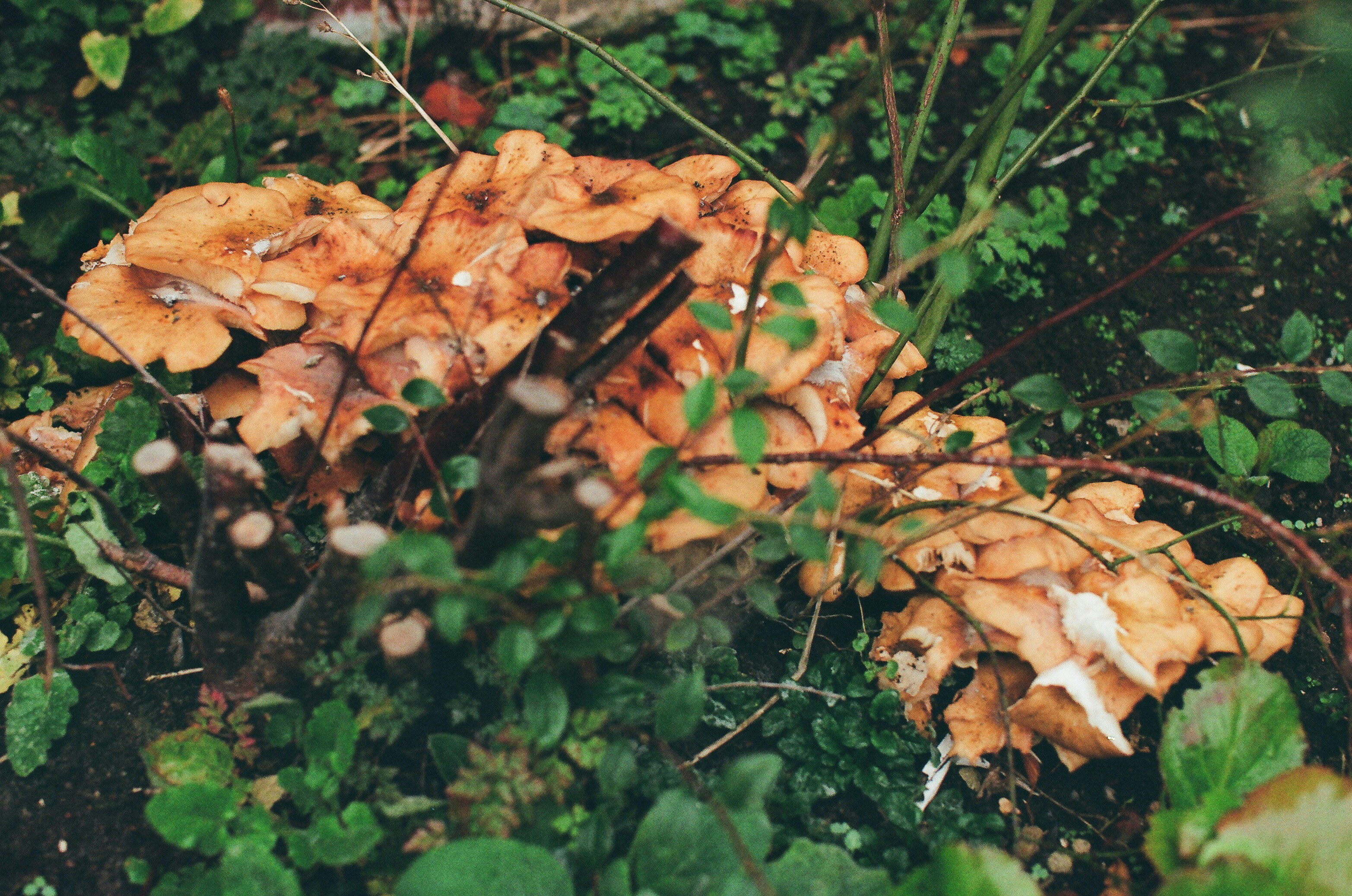 Photo by tanyabarrow