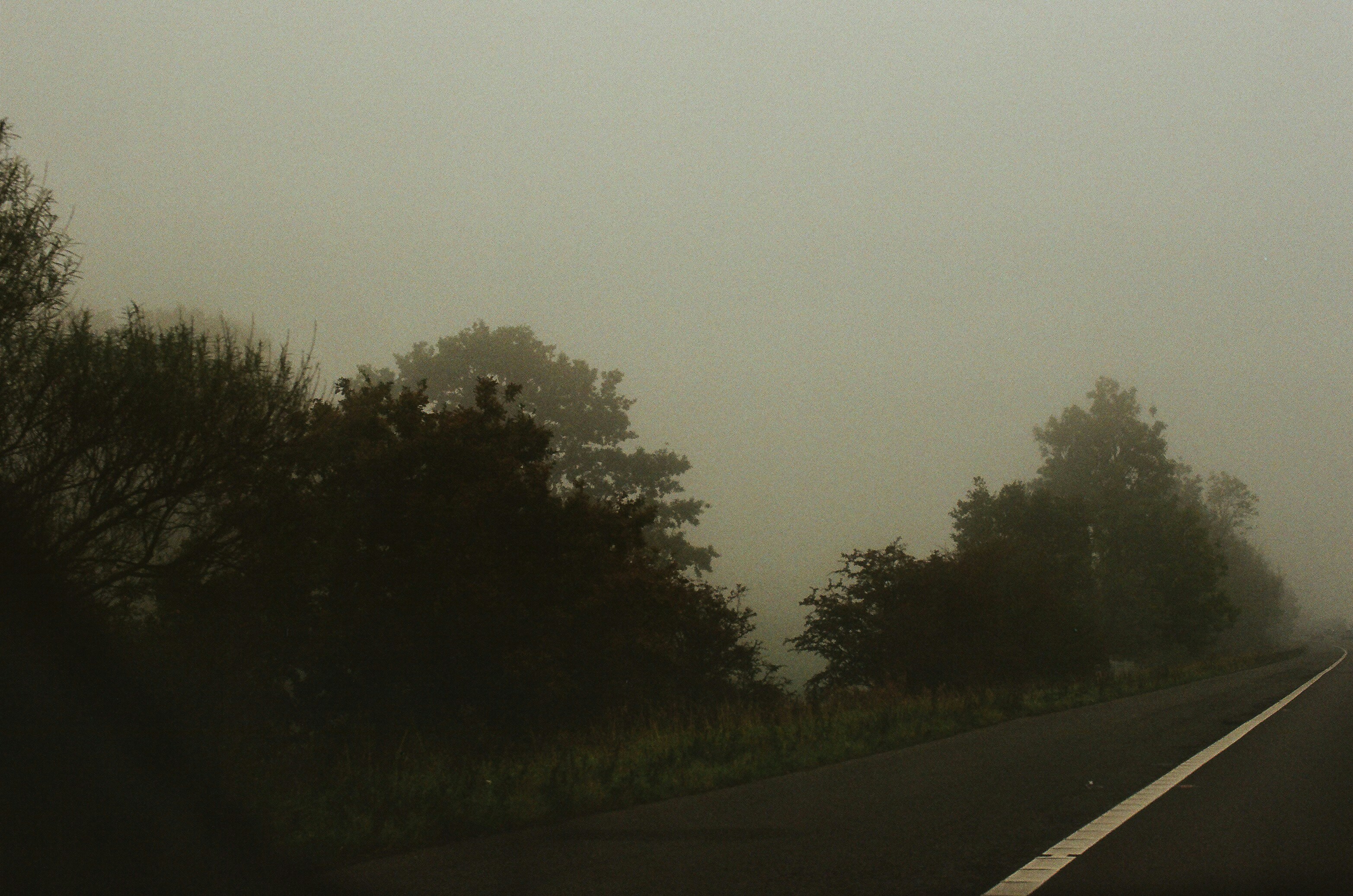 Photo by tanyabarrow