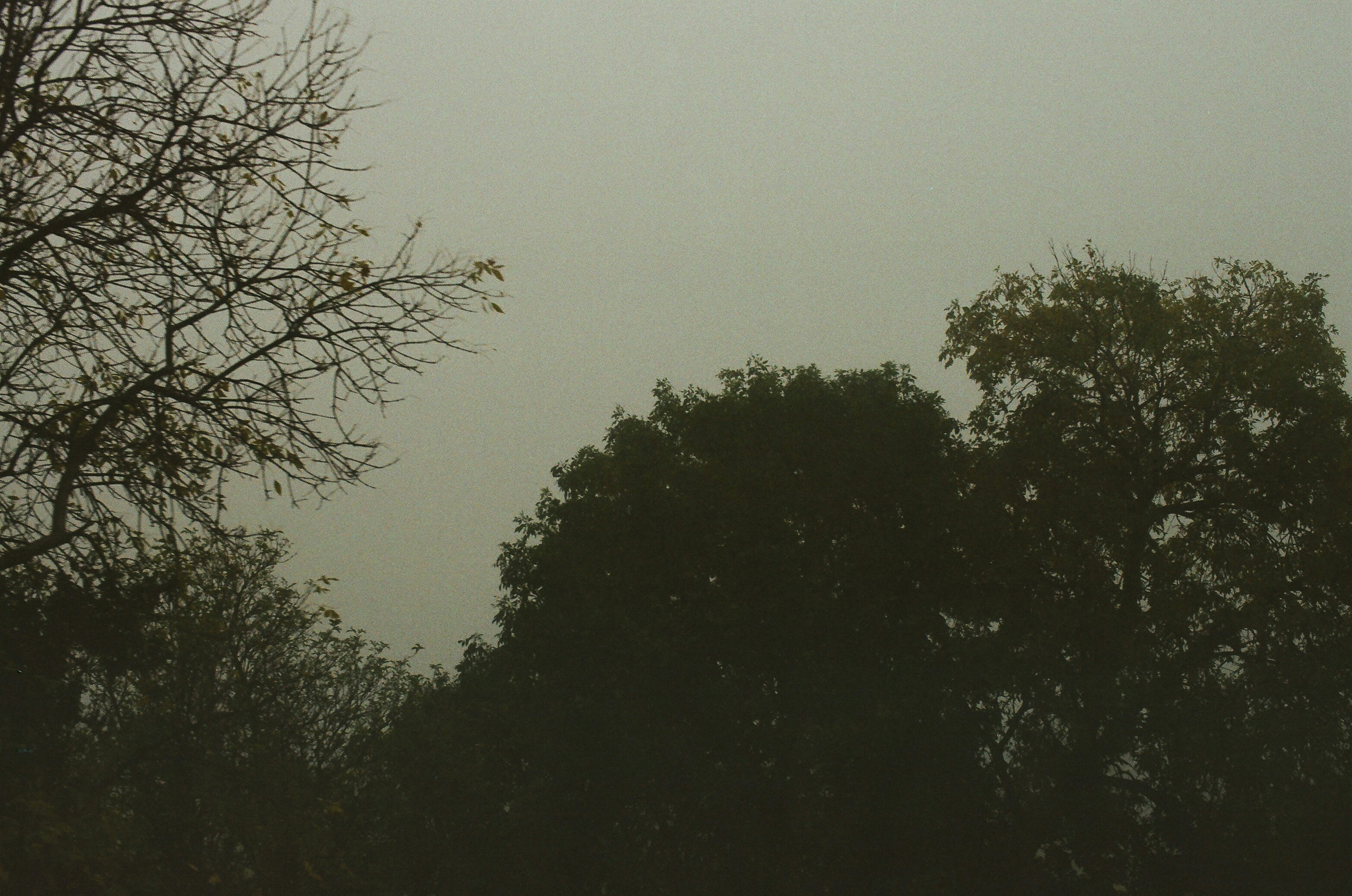 Photo by tanyabarrow