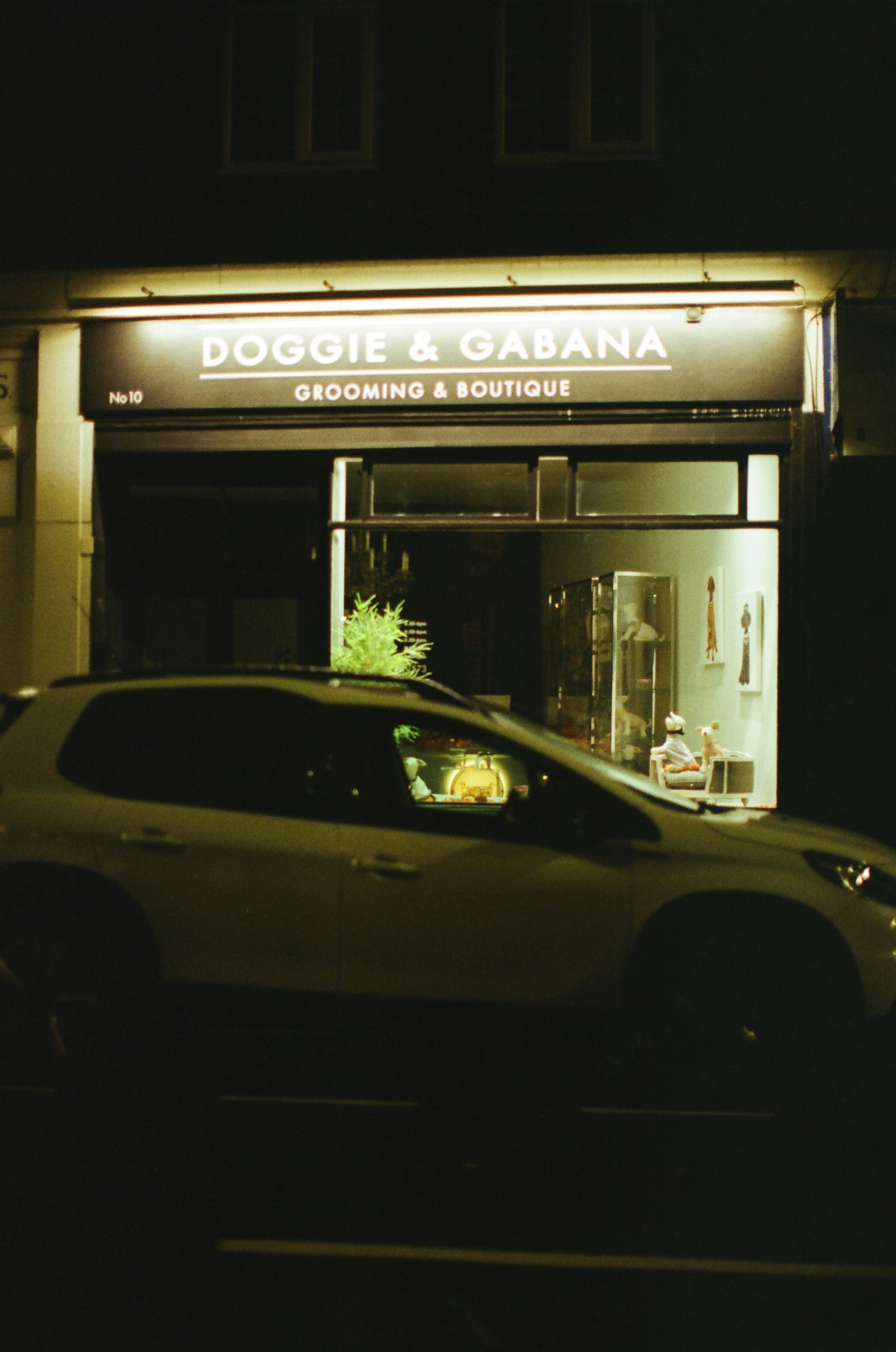 Doggie & gabana grooming and boutique storefront at night.
